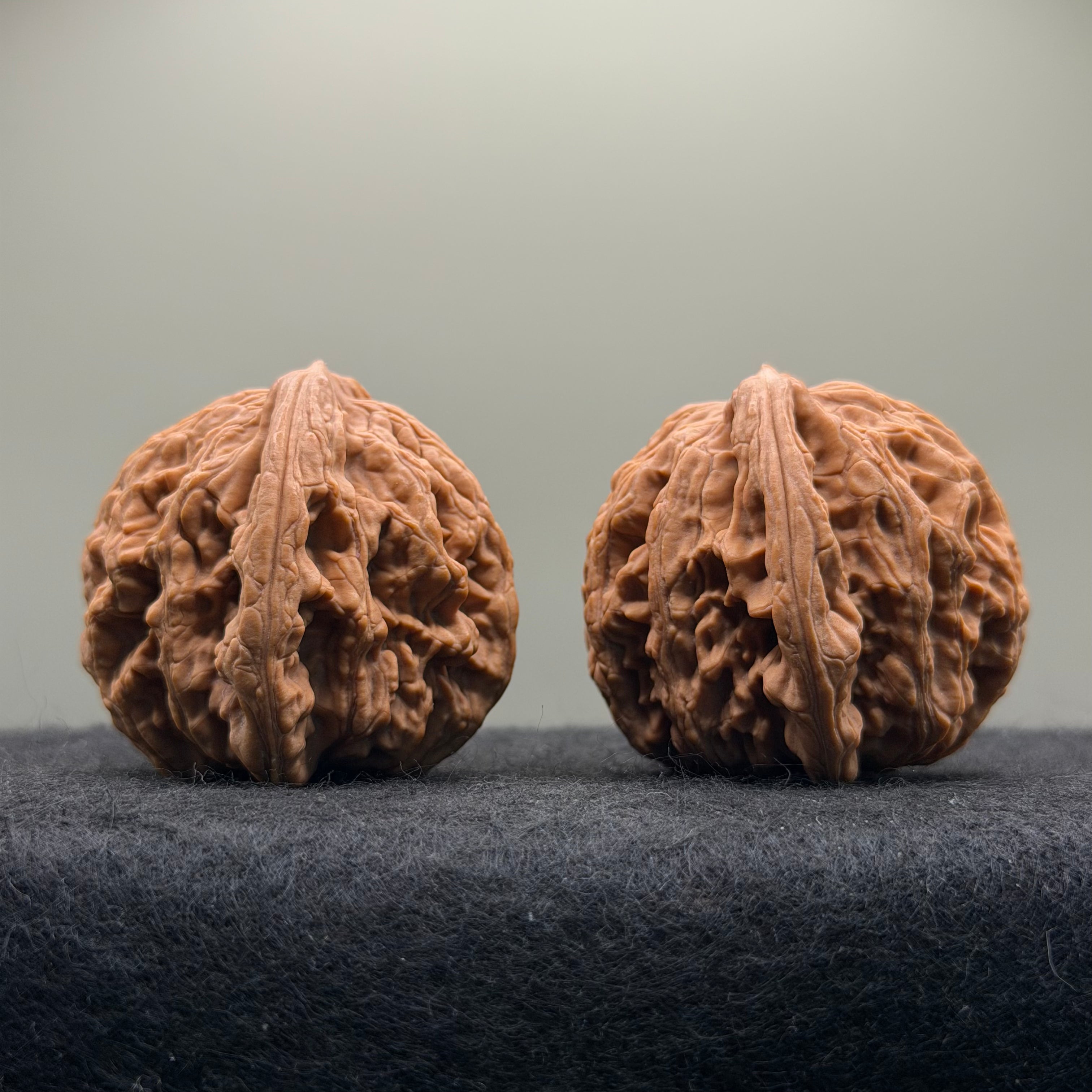 Wheat Ear Tiger Head Wenwan Walnut · 42mm · Natural · Select Ritual