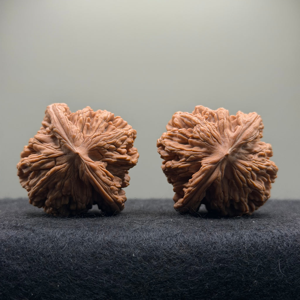 Wheat Ear Tiger Head Wenwan Walnut · 42mm · Natural · Select Ritual