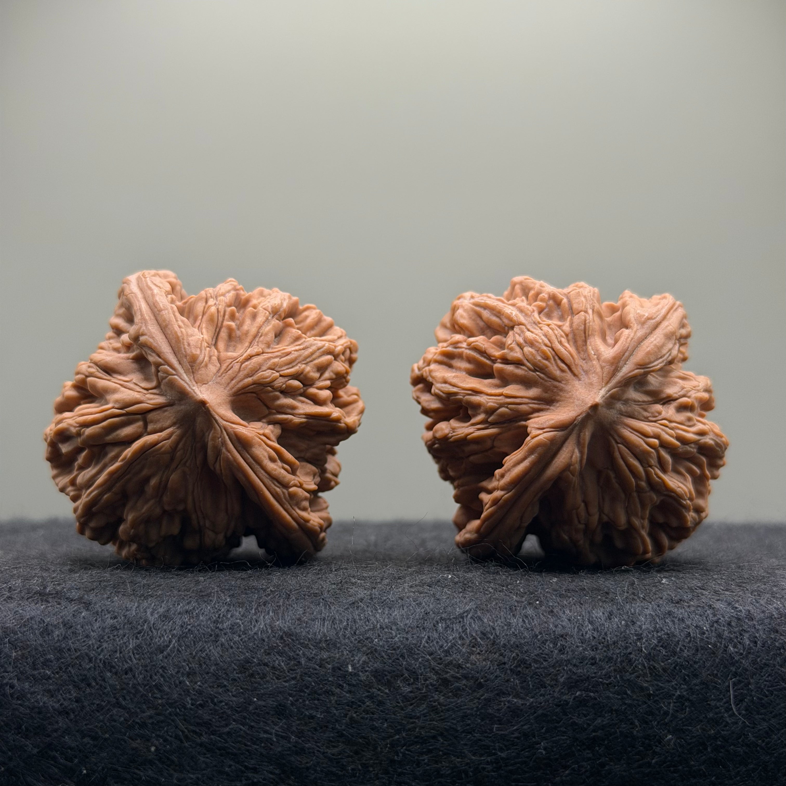 Wheat Ear Tiger Head Wenwan Walnut · 42mm · Natural · Select Ritual