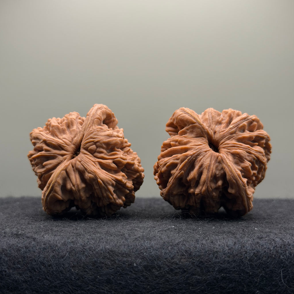 Wheat Ear Tiger Head Wenwan Walnut · 42mm · Natural · Select Ritual