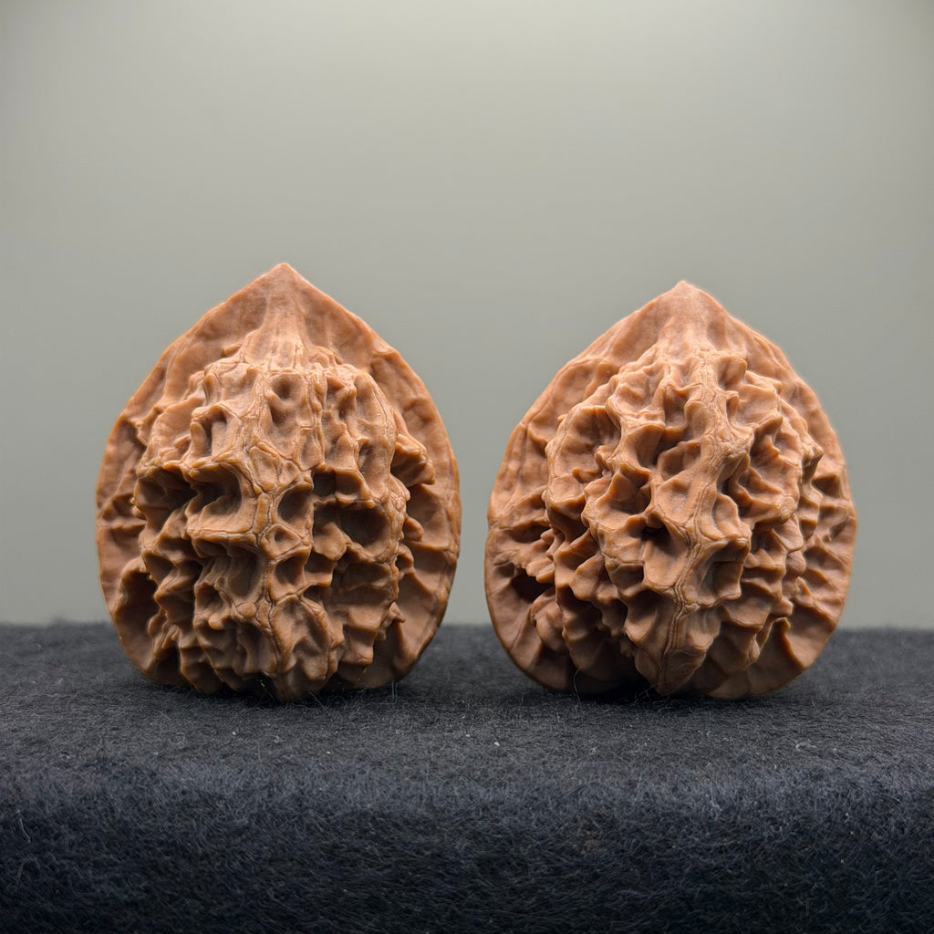Emperor Wenwan Walnut  · 42mm · Natural · Select Ritual