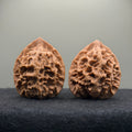 Emperor Wenwan Walnut  · 42mm · Natural · Select Ritual