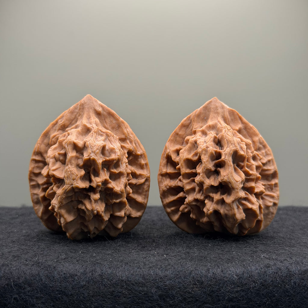 Emperor Wenwan Walnut  · 42mm · Natural · Select Ritual