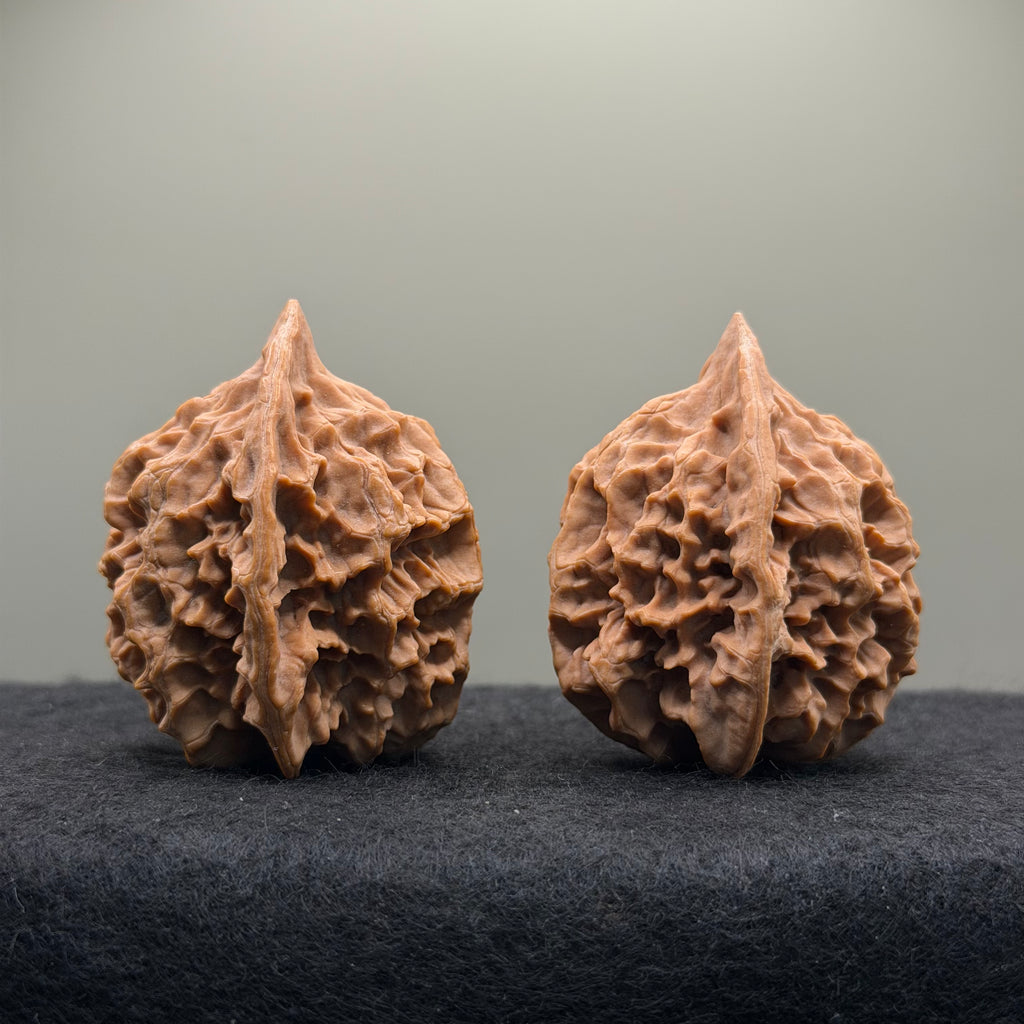 Emperor Wenwan Walnut  · 42mm · Natural · Select Ritual