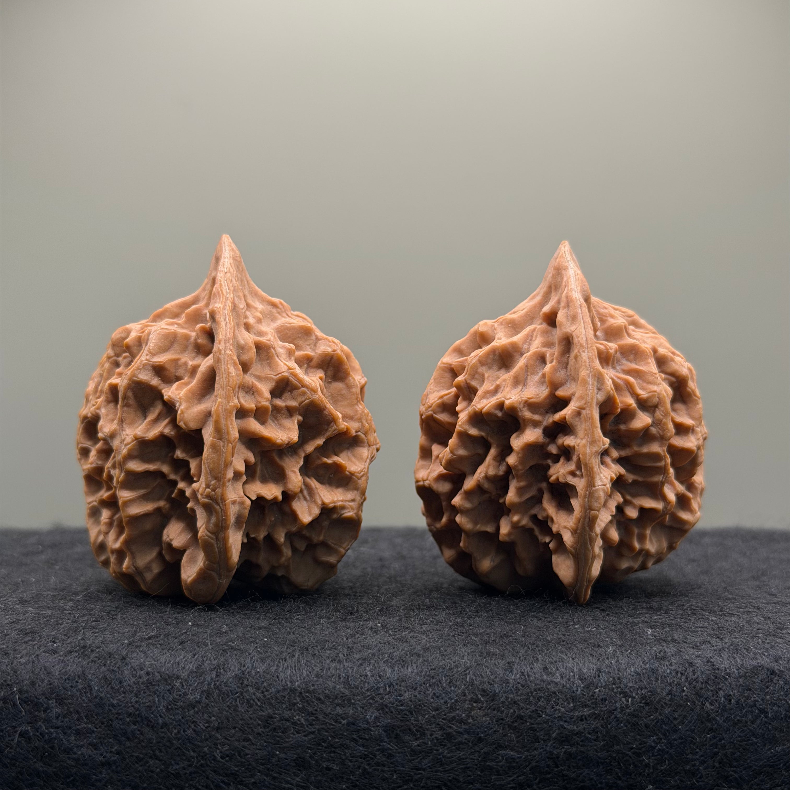 Emperor Wenwan Walnut  · 42mm · Natural · Select Ritual