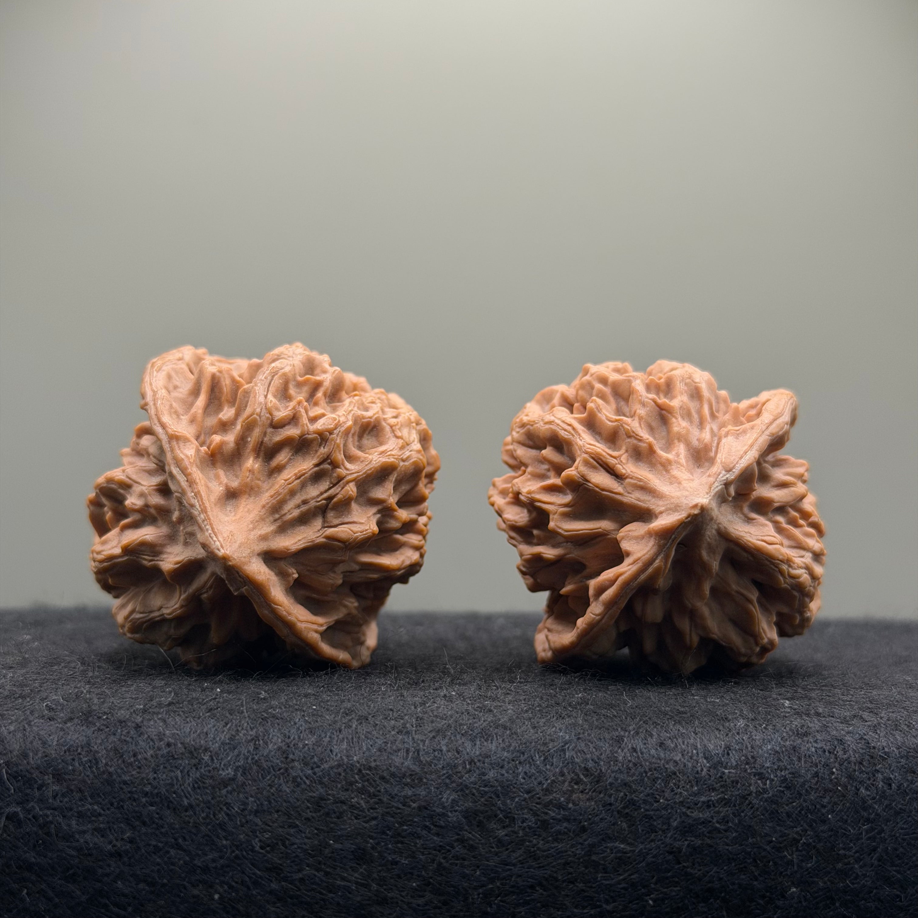 Emperor Wenwan Walnut  · 42mm · Natural · Select Ritual