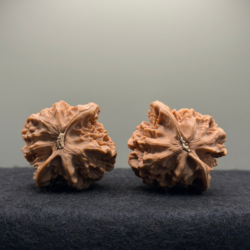 Emperor Wenwan Walnut  · 42mm · Natural · Select Ritual
