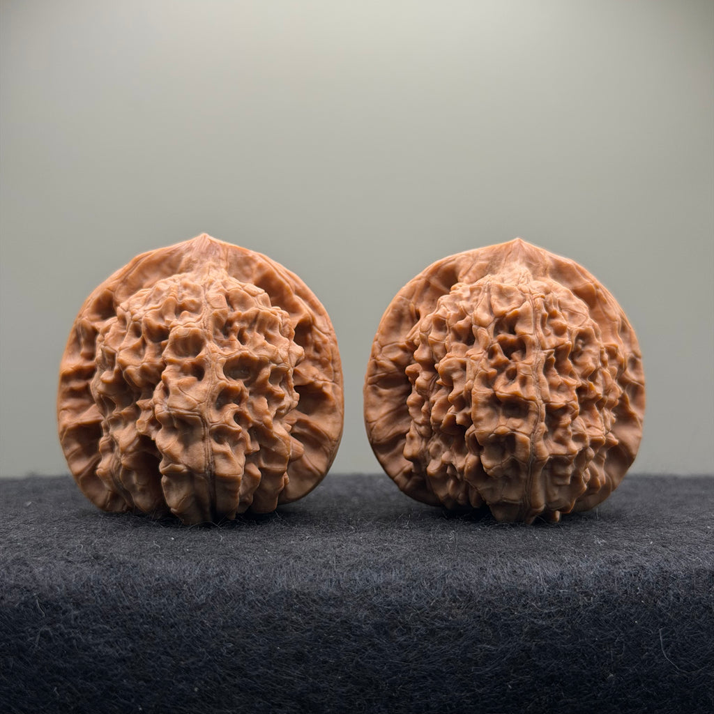 Wang Yong Official Hat Wenwan Walnut · 45mm · Natural · Entry Ritual