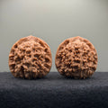 Wang Yong Official Hat Wenwan Walnut · 45mm · Natural · Entry Ritual