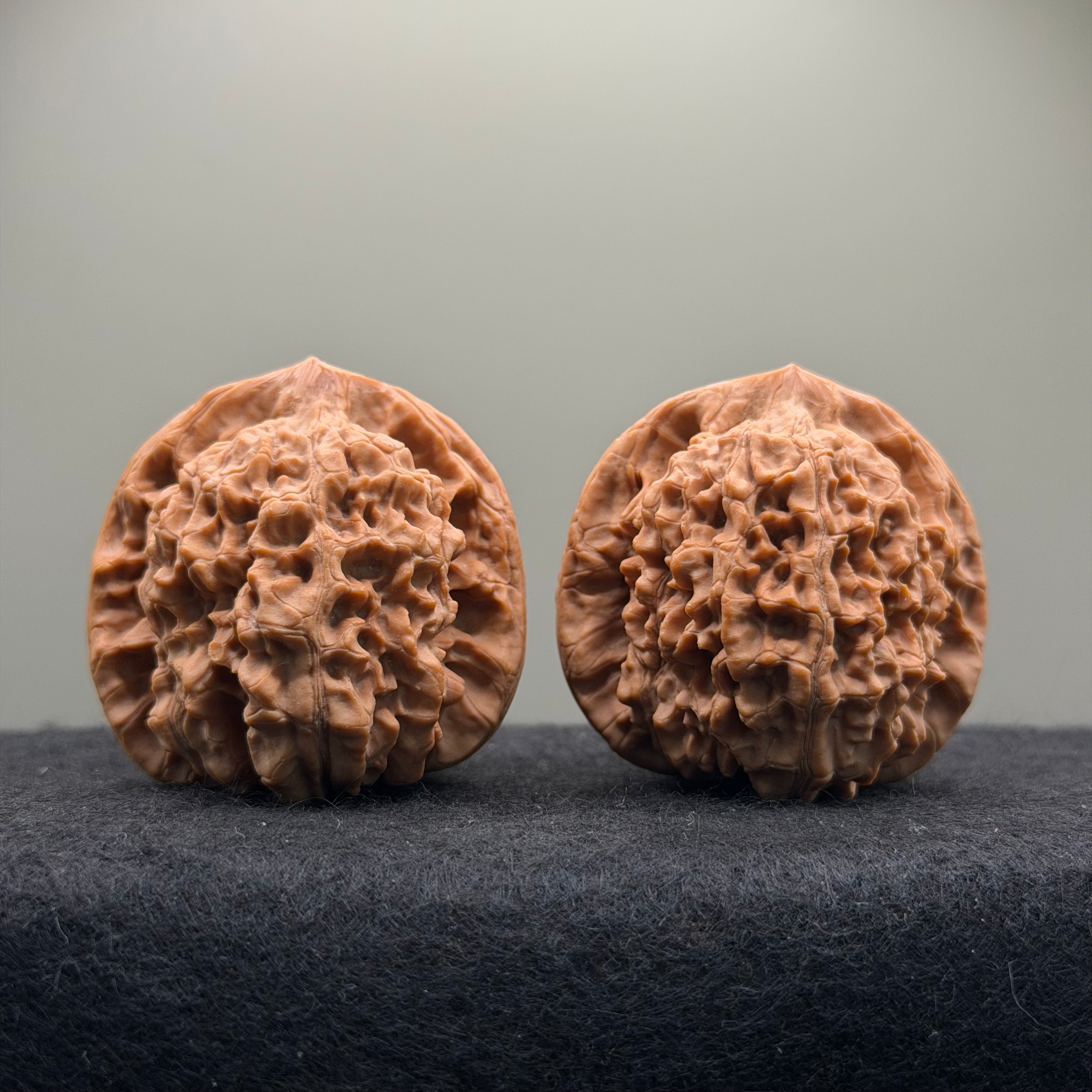 Wang Yong Official Hat Wenwan Walnut · 45mm · Natural · Entry Ritual