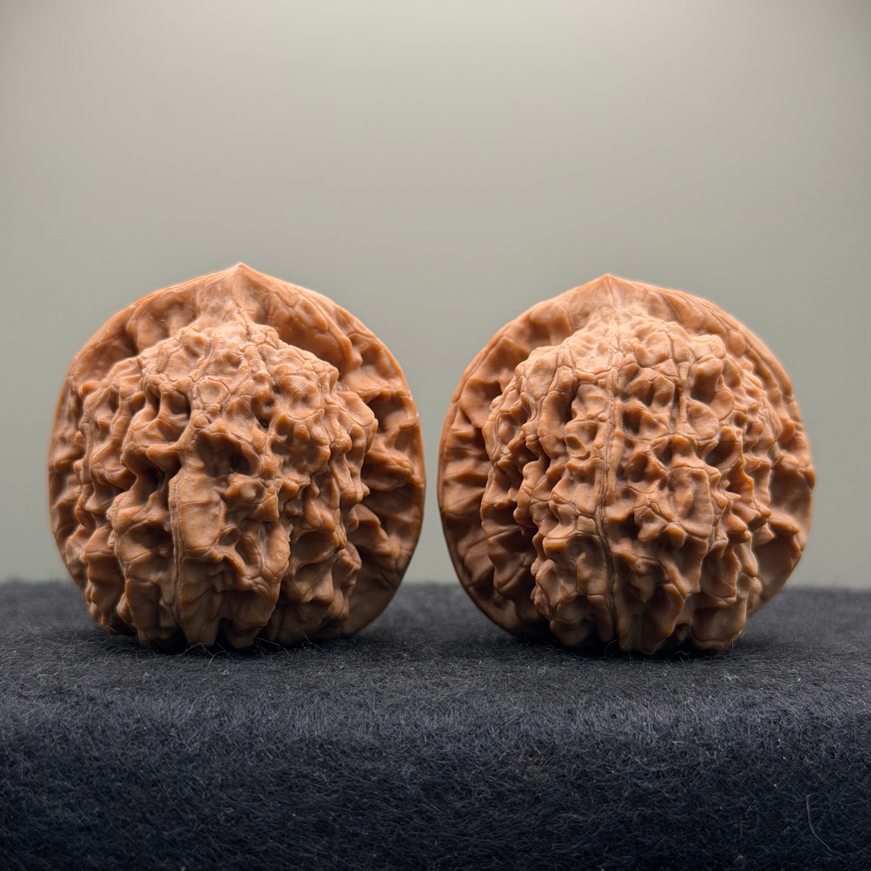Wang Yong Official Hat Wenwan Walnut · 45mm · Natural · Entry Ritual