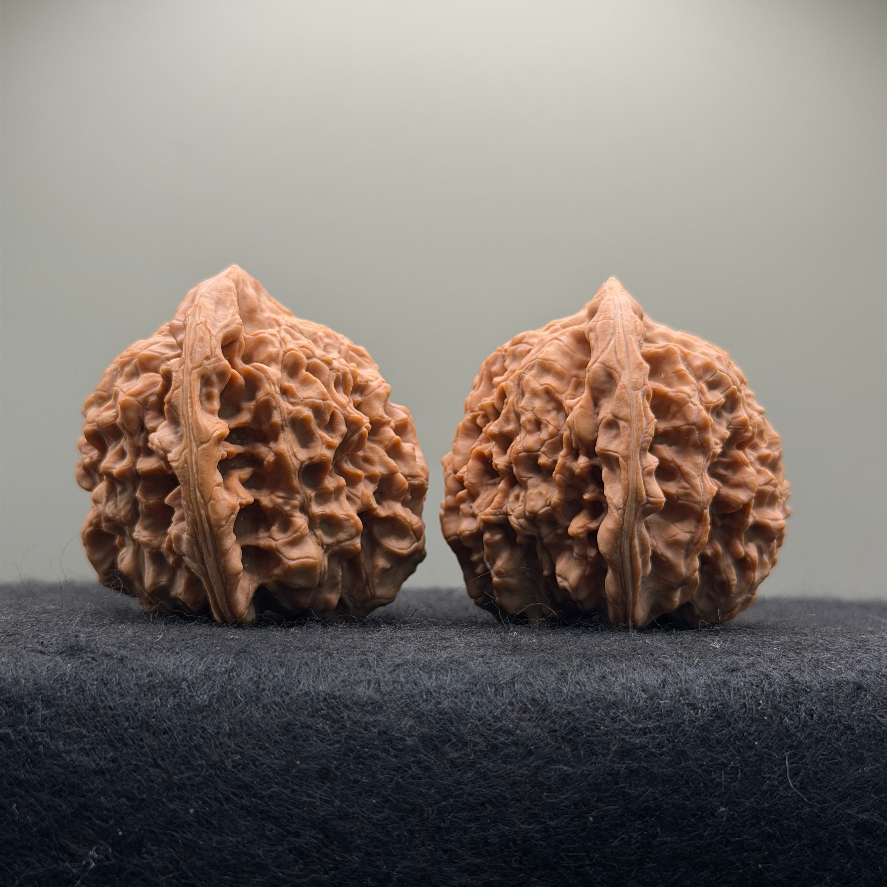 Wang Yong Official Hat Wenwan Walnut · 45mm · Natural · Entry Ritual