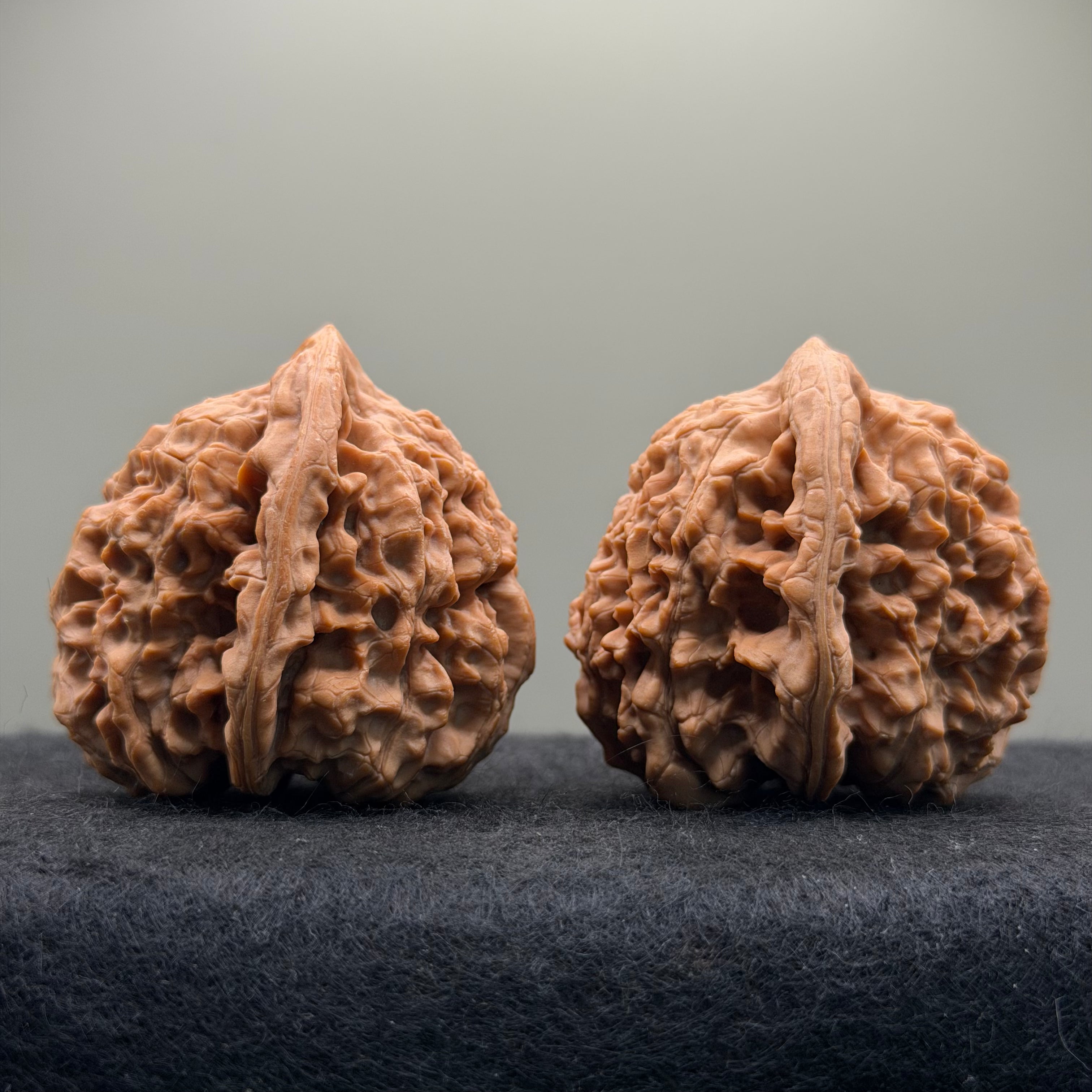 Wang Yong Official Hat Wenwan Walnut · 45mm · Natural · Entry Ritual
