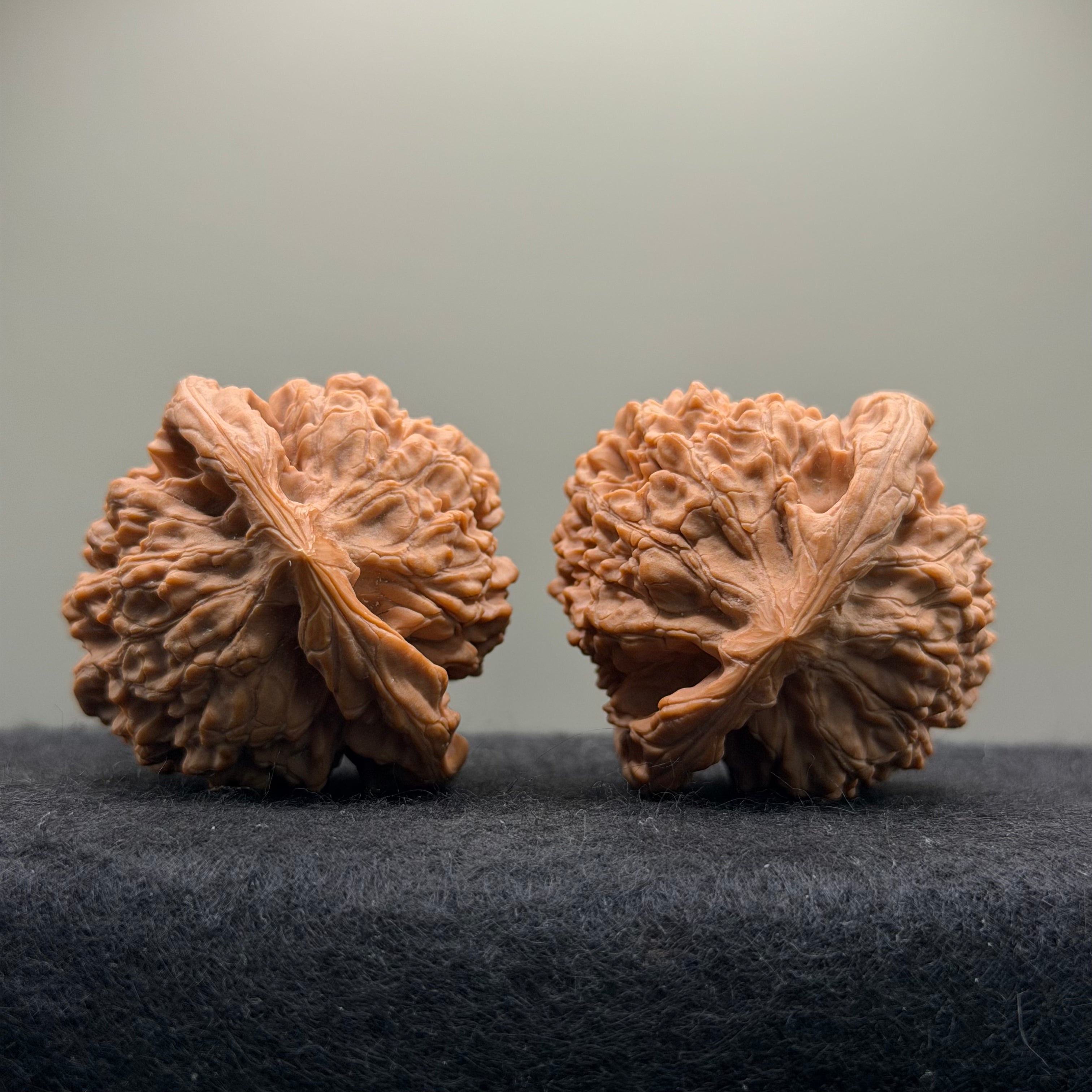 Wang Yong Official Hat Wenwan Walnut · 45mm · Natural · Entry Ritual