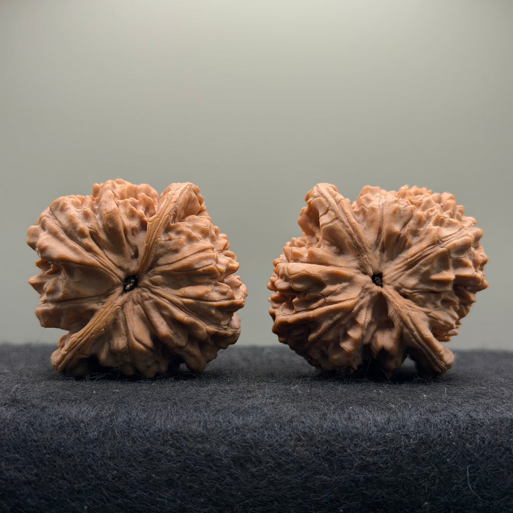 Wang Yong Official Hat Wenwan Walnut · 45mm · Natural · Entry Ritual