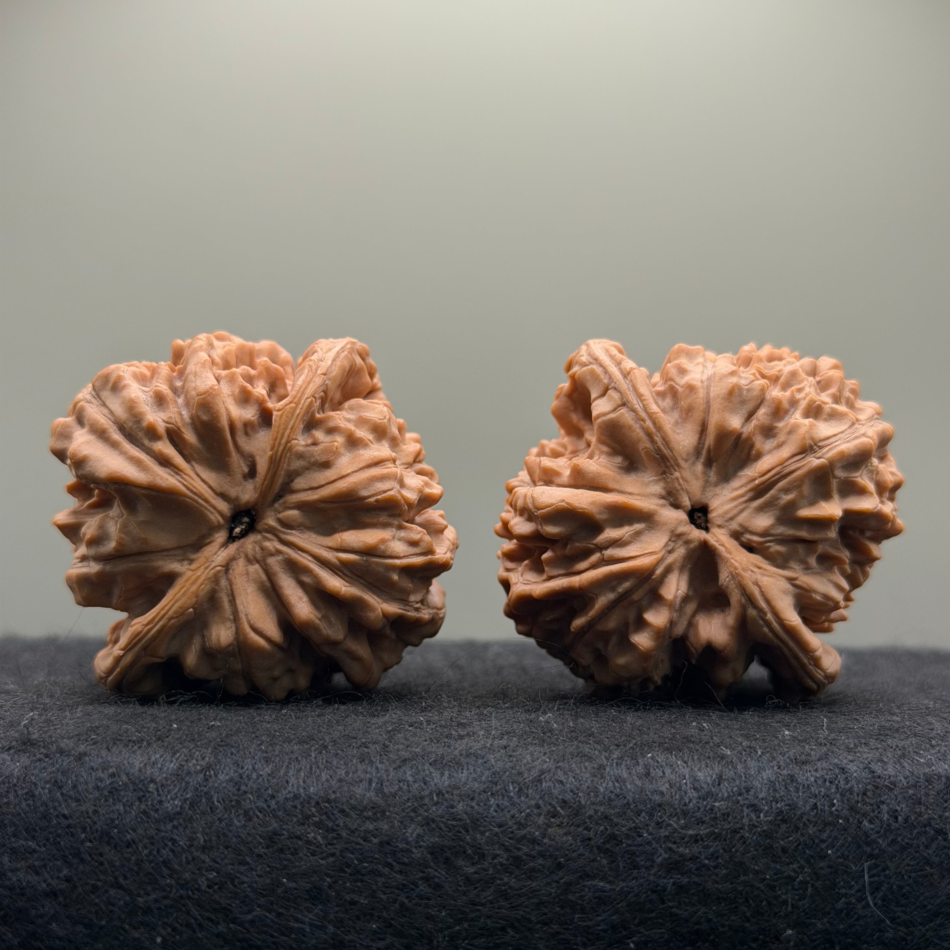 Wang Yong Official Hat Wenwan Walnut · 45mm · Natural · Entry Ritual