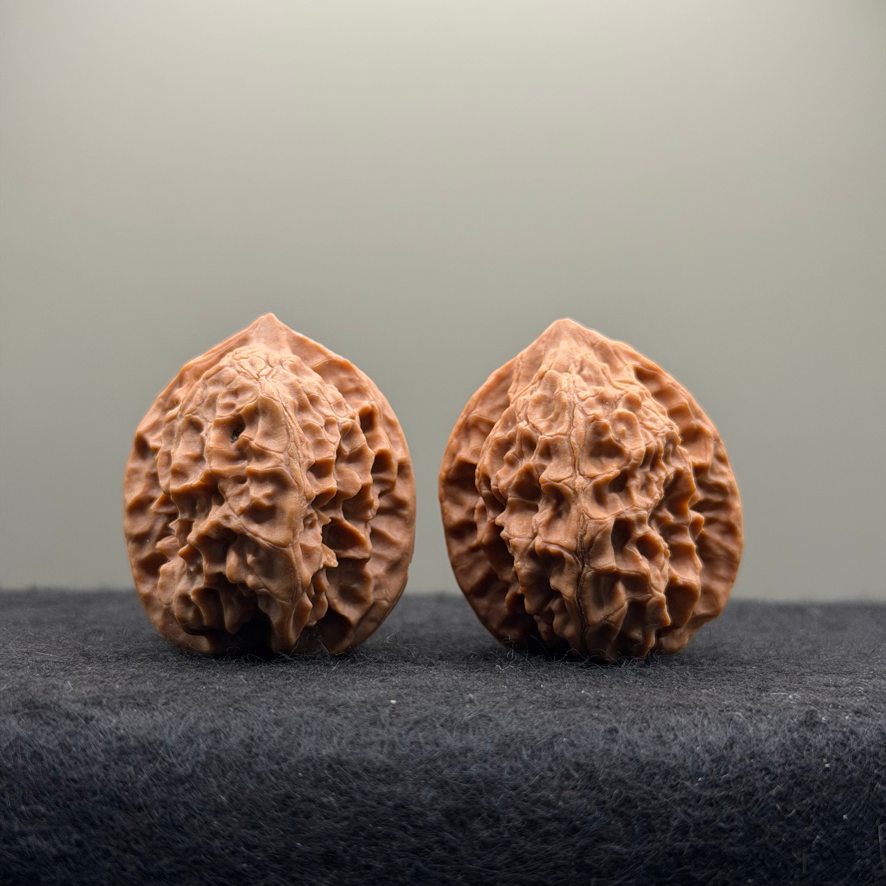 WalnutRitual Exclusive · First Love Wenwan Walnut · 32mm · Natural · Entry Ritual