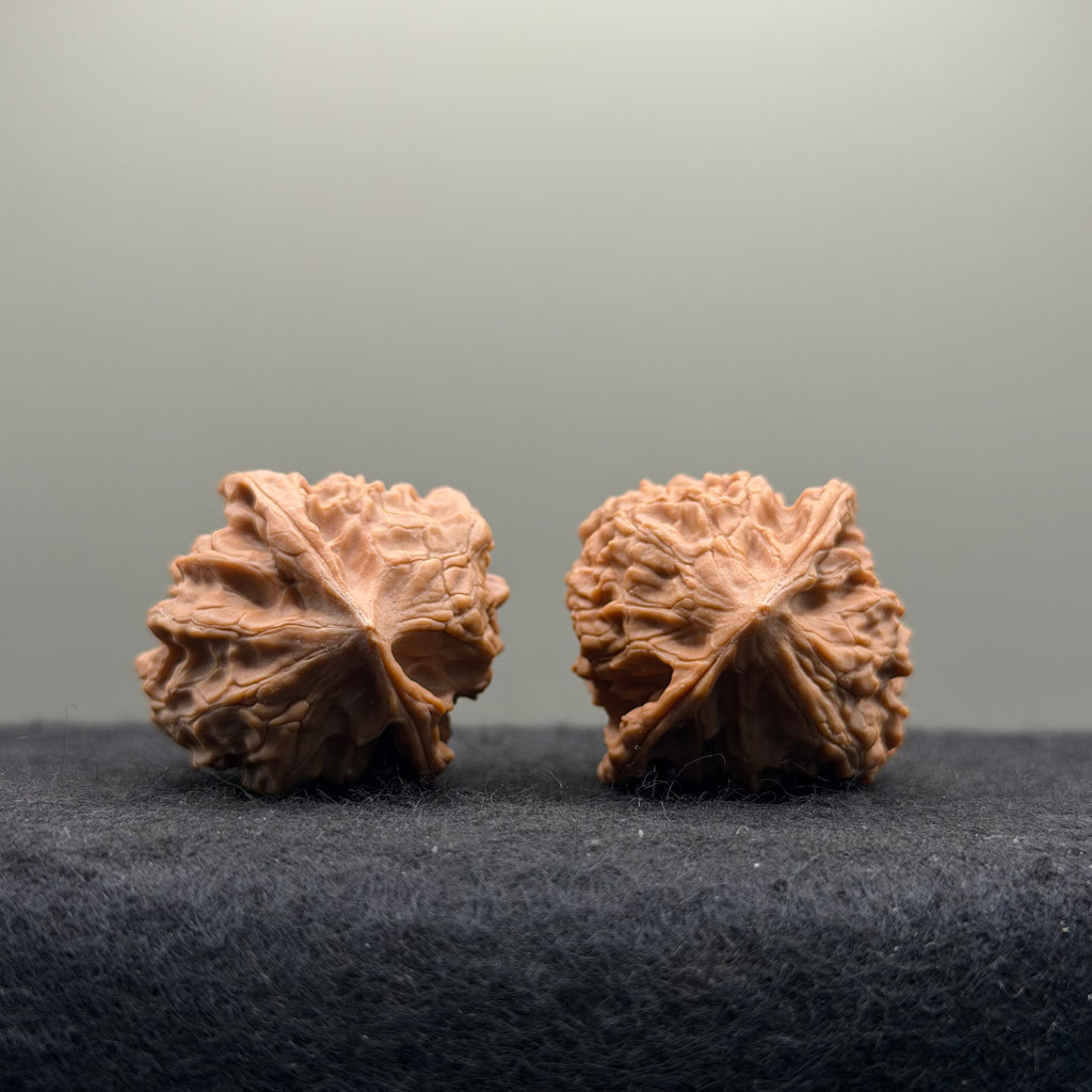 WalnutRitual Exclusive · First Love Wenwan Walnut · 32mm · Natural · Entry Ritual