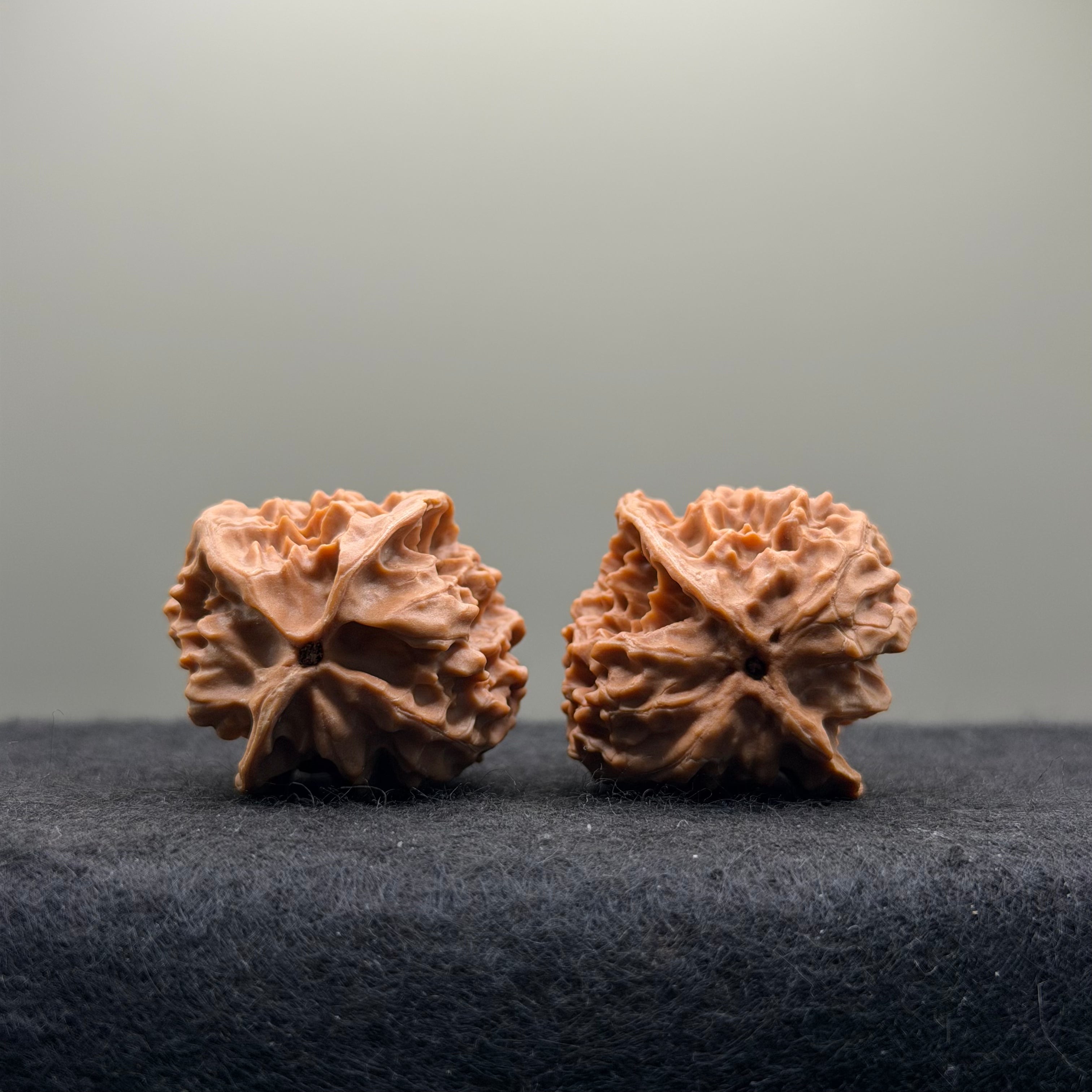 WalnutRitual Exclusive · First Love Wenwan Walnut · 32mm · Natural · Entry Ritual