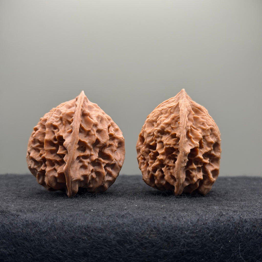WalnutRitual Exclusive · First Love Wenwan Walnut · 35mm · Natural · Entry Ritual