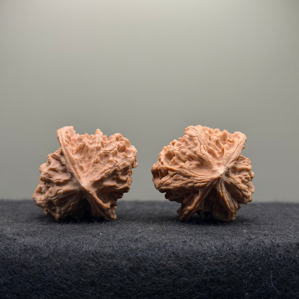 WalnutRitual Exclusive · First Love Wenwan Walnut · 35mm · Natural · Entry Ritual