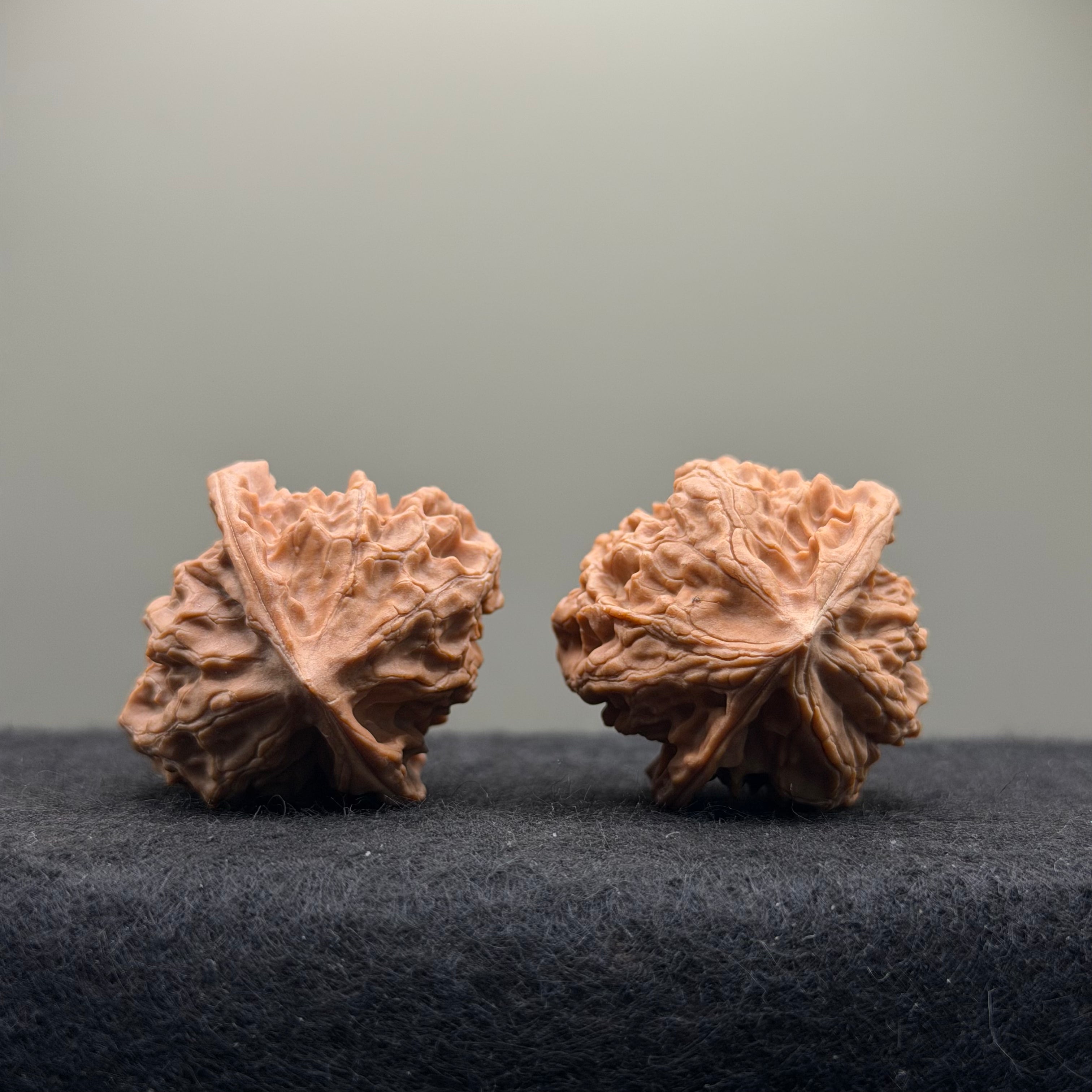 WalnutRitual Exclusive · First Love Wenwan Walnut · 35mm · Natural · Entry Ritual