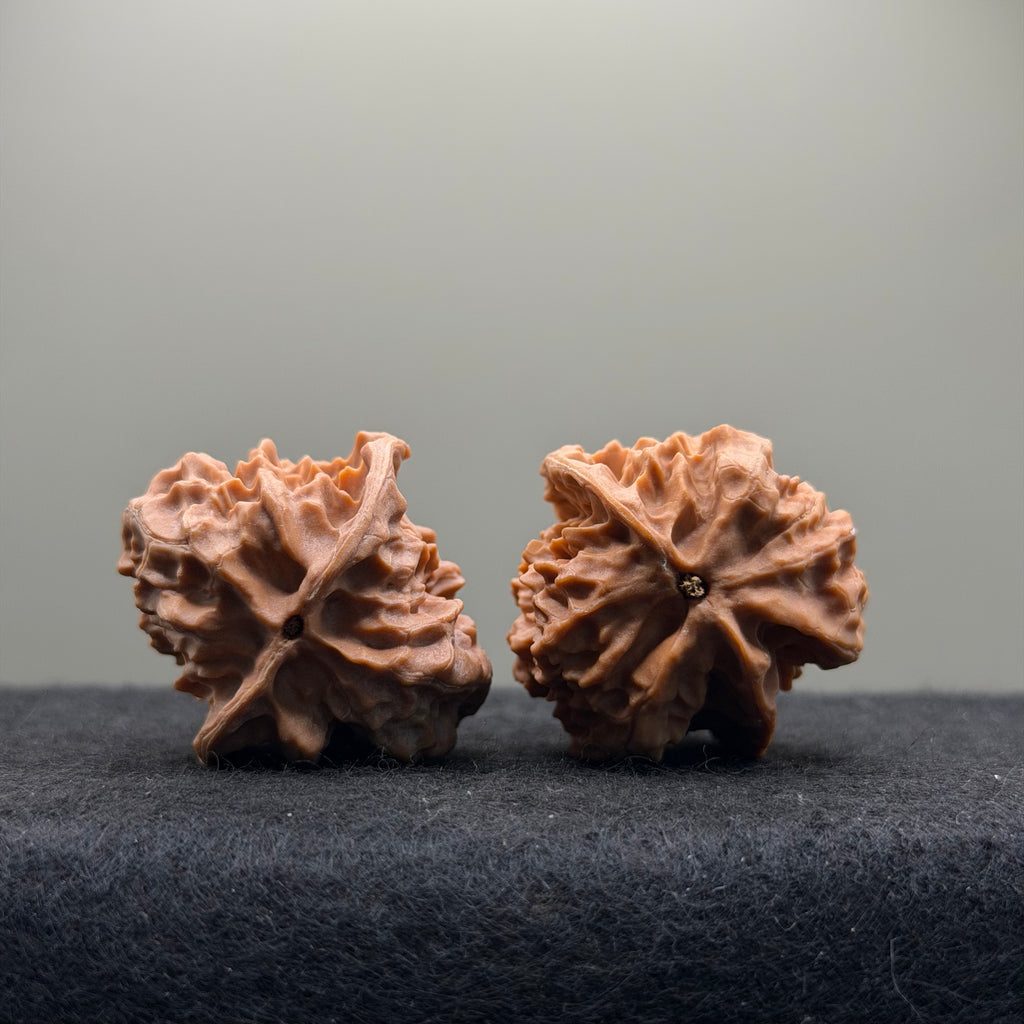 WalnutRitual Exclusive · First Love Wenwan Walnut · 35mm · Natural · Entry Ritual