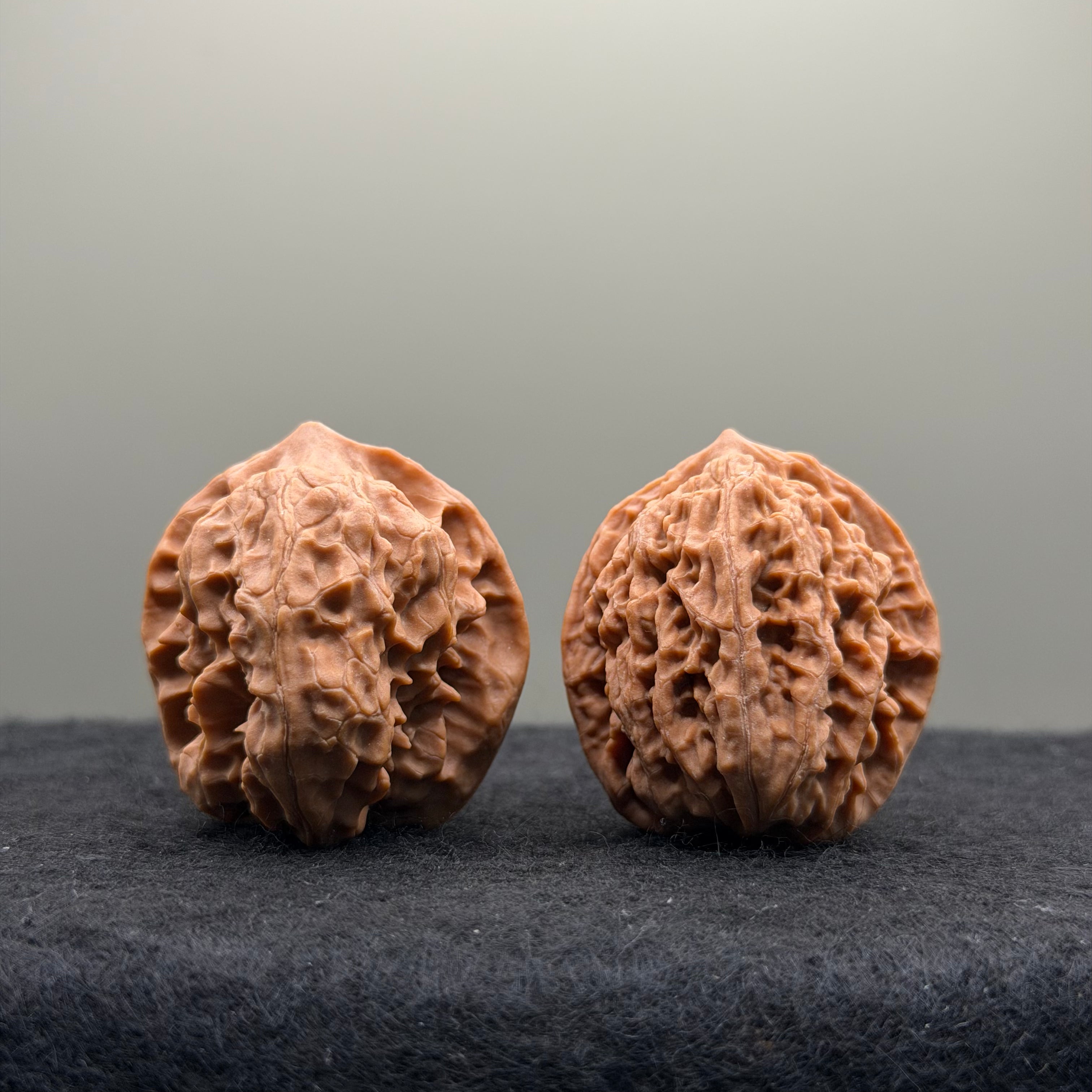 WalnutRitual Exclusive · First Love Wenwan Walnut · 32mm · Natural · Entry Ritual