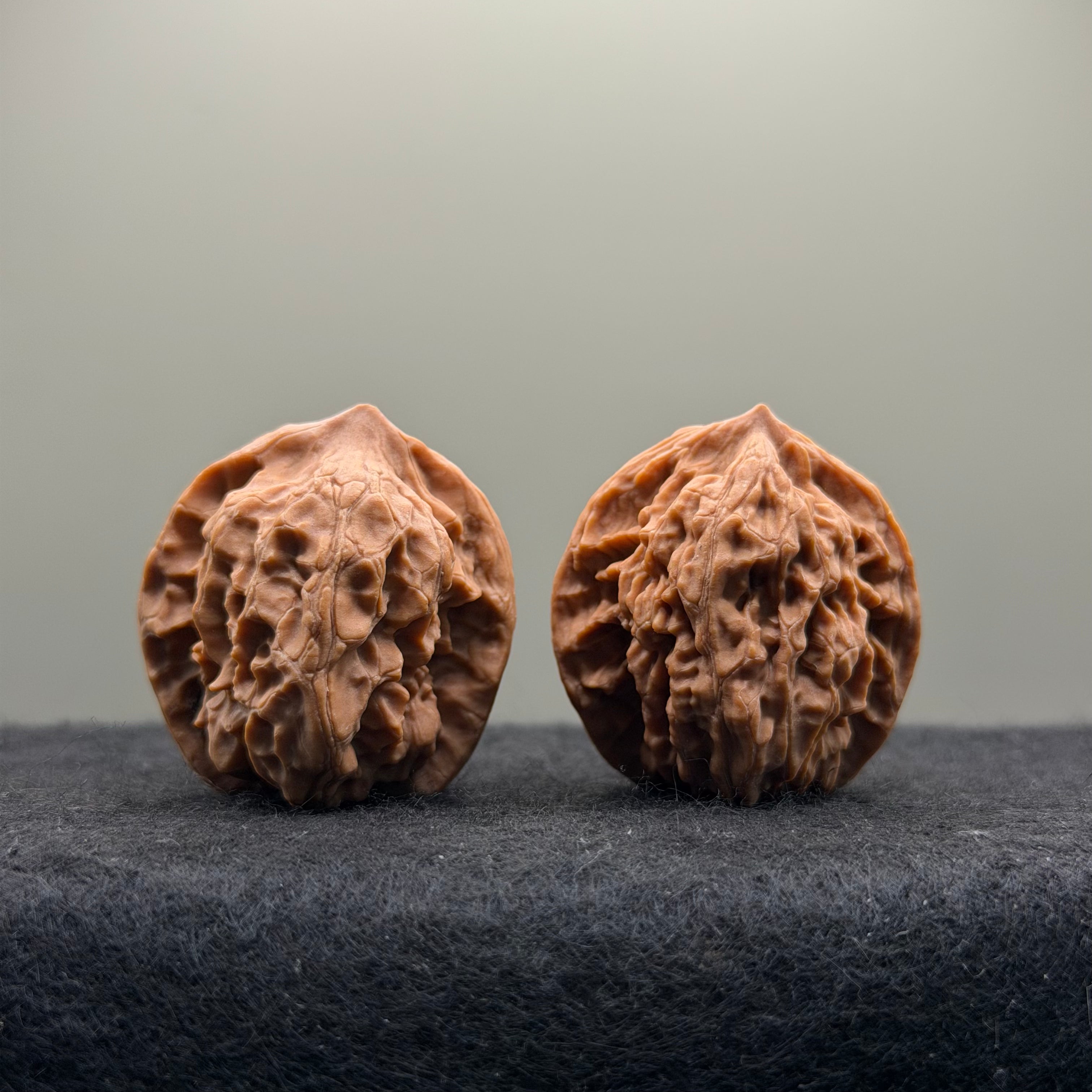 WalnutRitual Exclusive · First Love Wenwan Walnut · 32mm · Natural · Entry Ritual