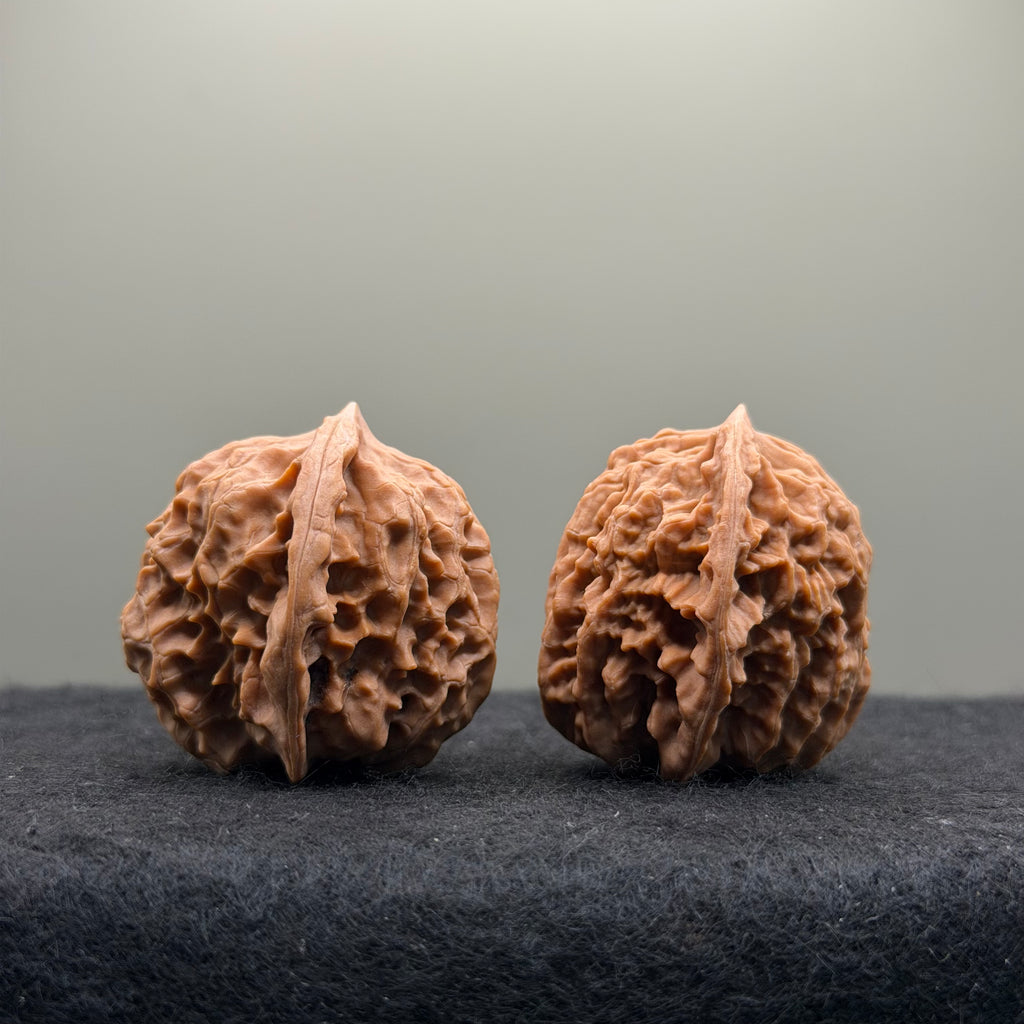 WalnutRitual Exclusive · First Love Wenwan Walnut · 32mm · Natural · Entry Ritual