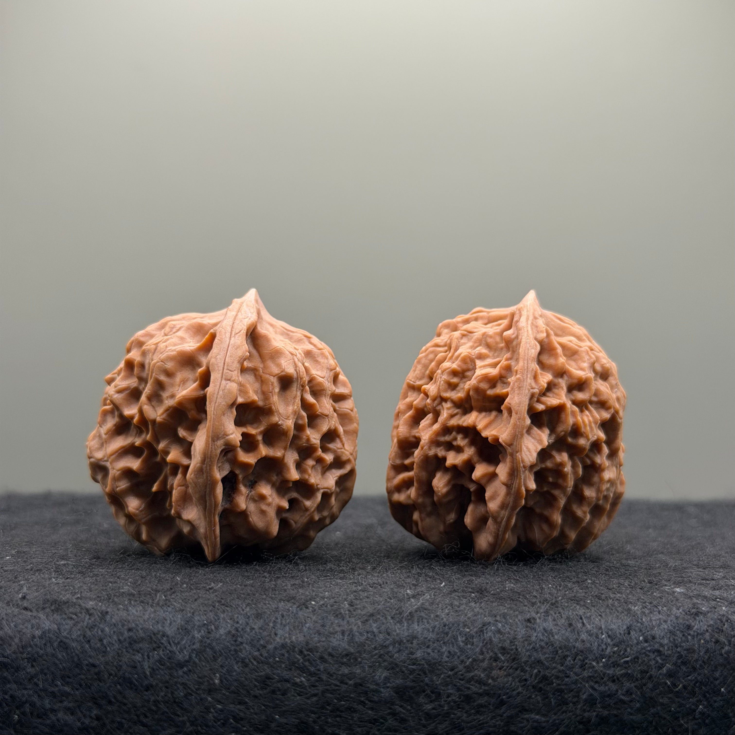 WalnutRitual Exclusive · First Love Wenwan Walnut · 32mm · Natural · Entry Ritual