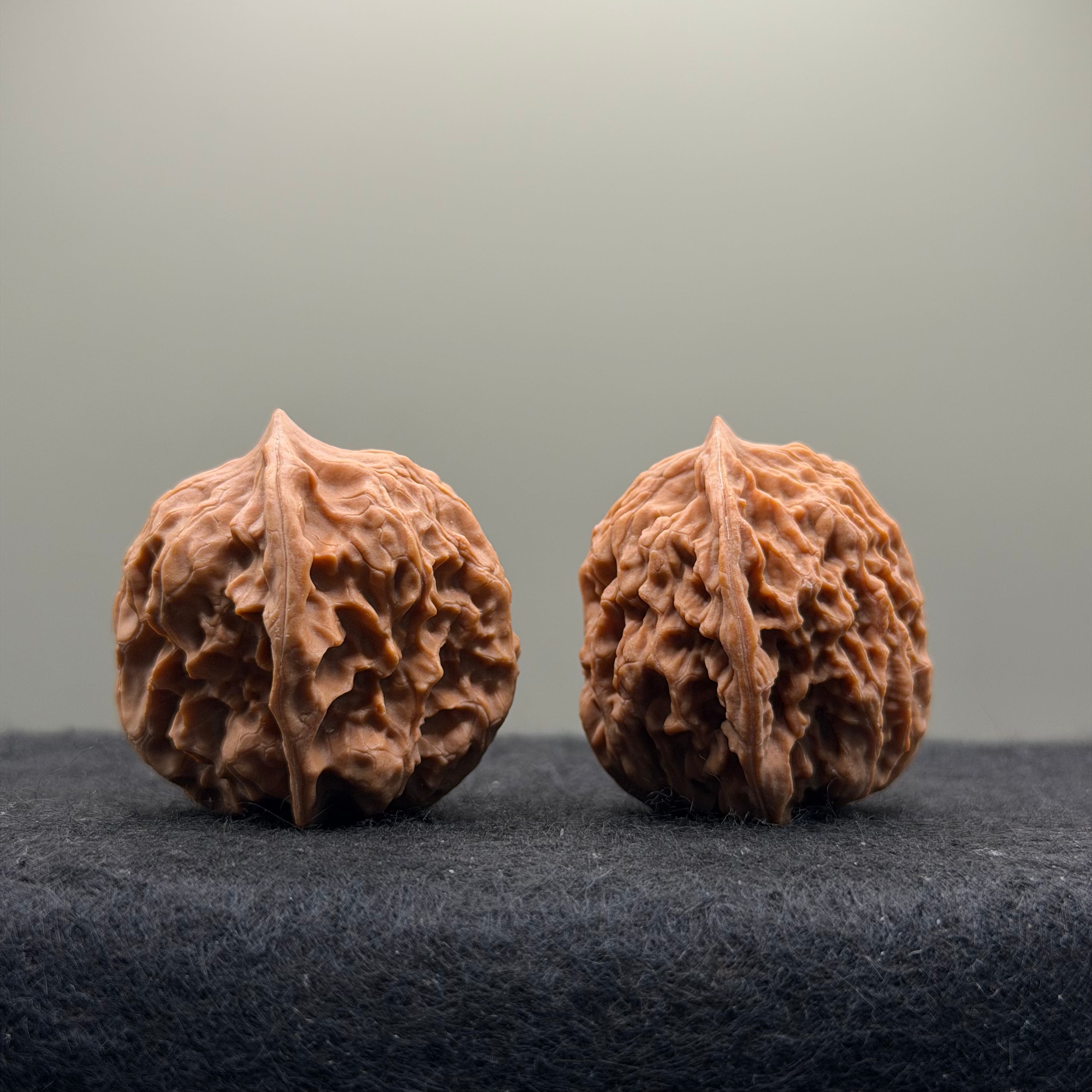 WalnutRitual Exclusive · First Love Wenwan Walnut · 32mm · Natural · Entry Ritual