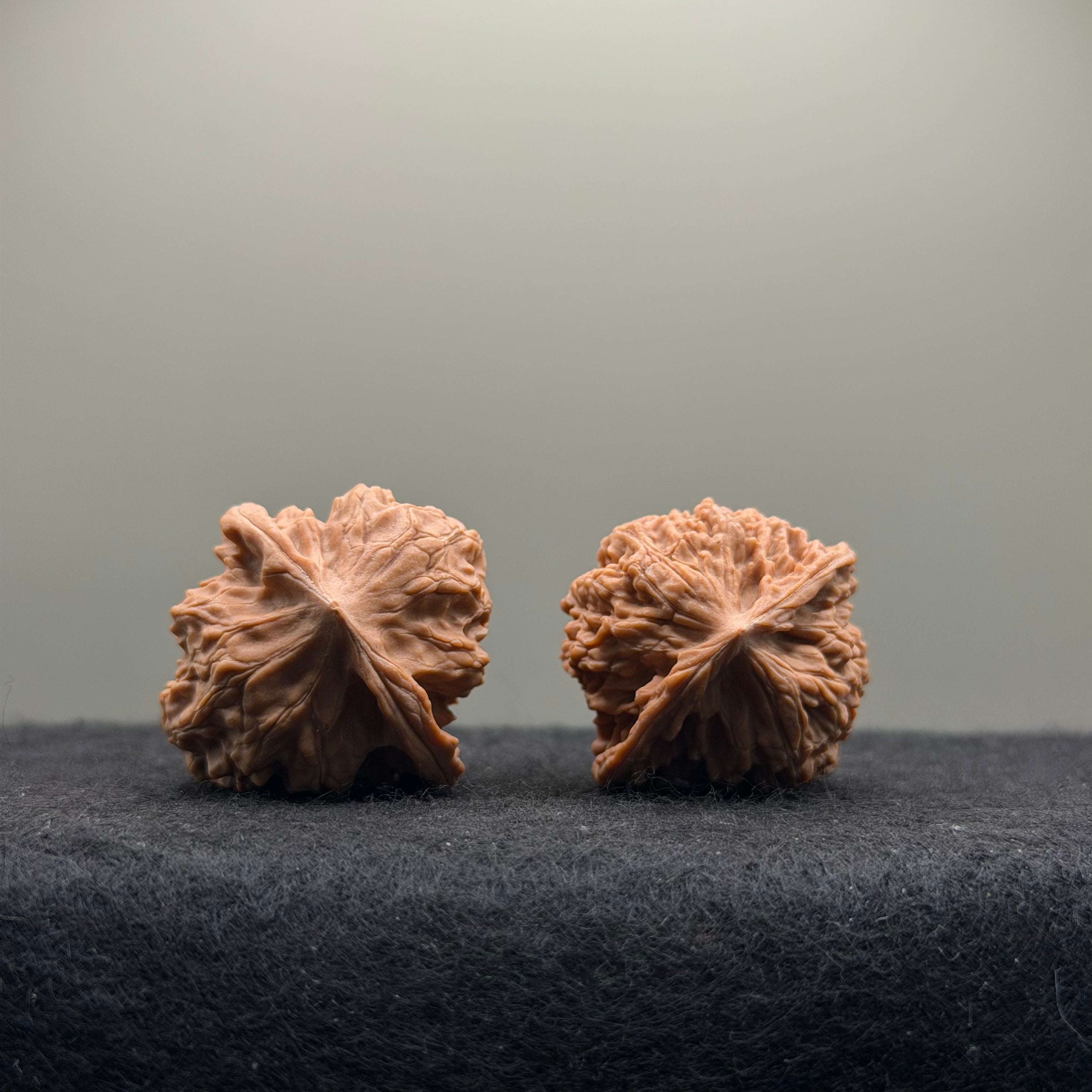 WalnutRitual Exclusive · First Love Wenwan Walnut · 32mm · Natural · Entry Ritual