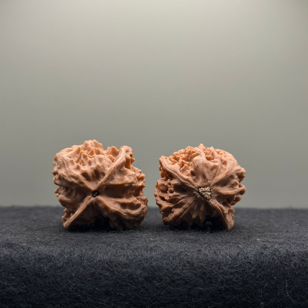 WalnutRitual Exclusive · First Love Wenwan Walnut · 32mm · Natural · Entry Ritual