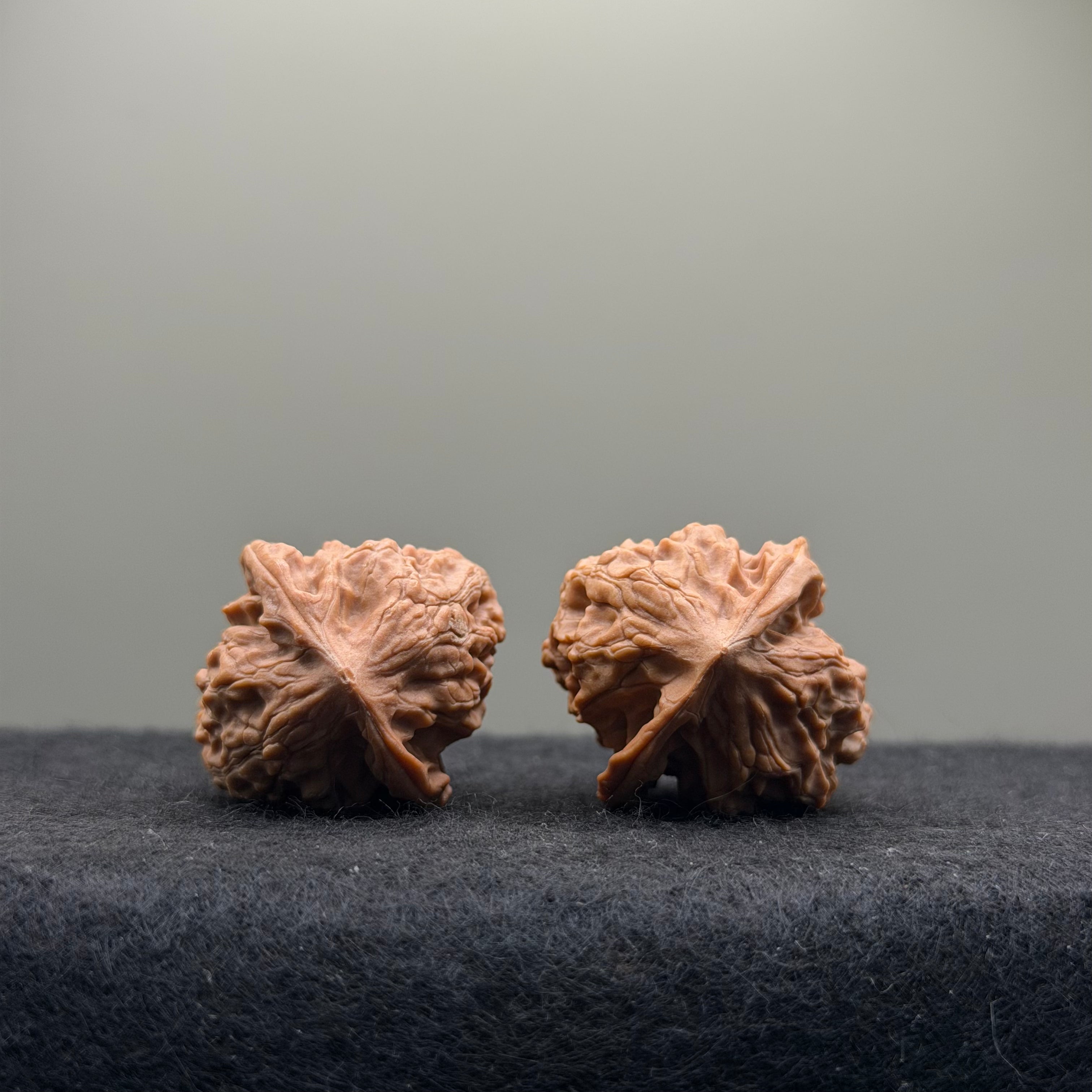 WalnutRitual Exclusive · First Love Wenwan Walnut · 29mm · Natural · Entry Ritual