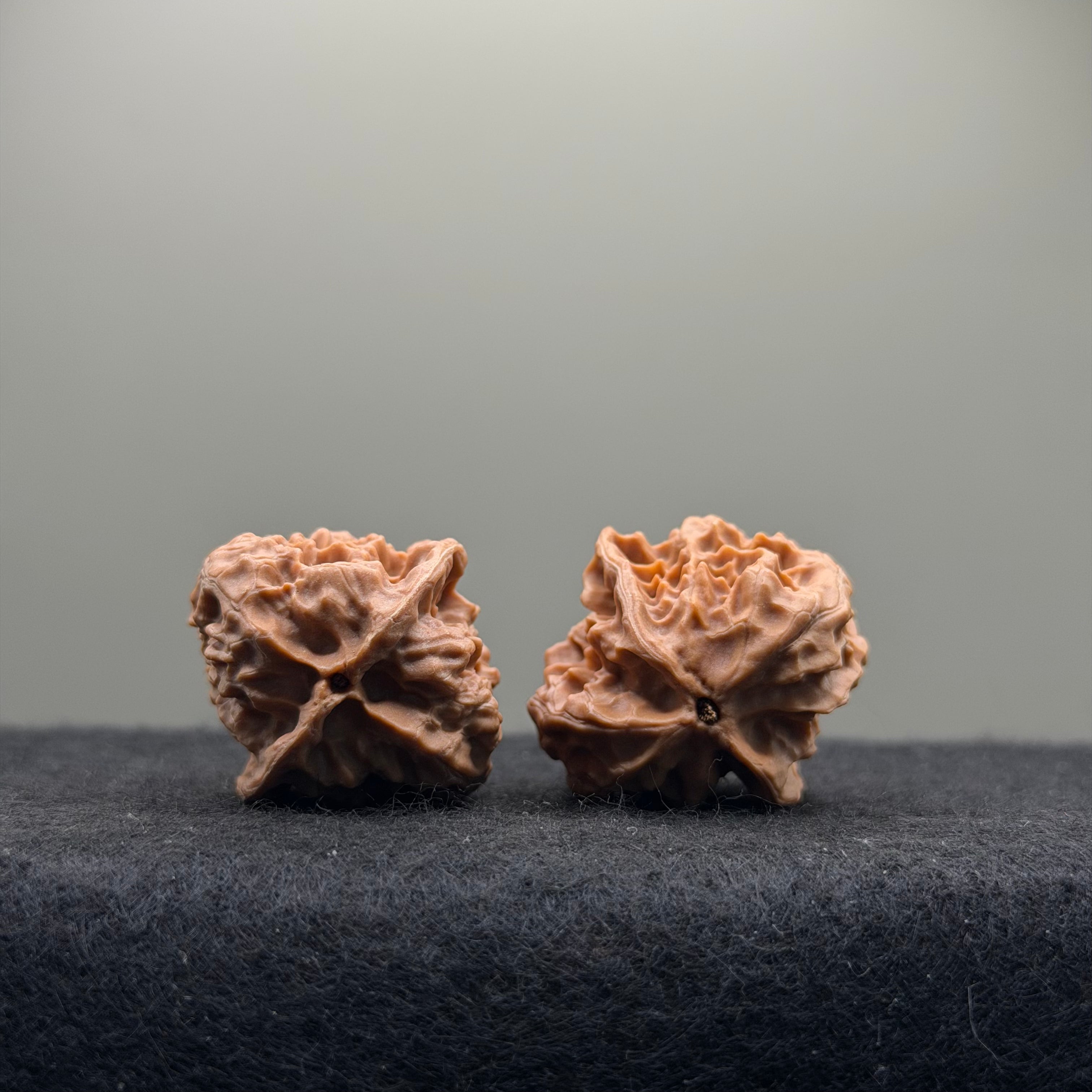 WalnutRitual Exclusive · First Love Wenwan Walnut · 29mm · Natural · Entry Ritual