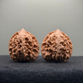 WalnutRitual Exclusive · First Love Wenwan Walnut · 37mm · Natural · Entry Ritual