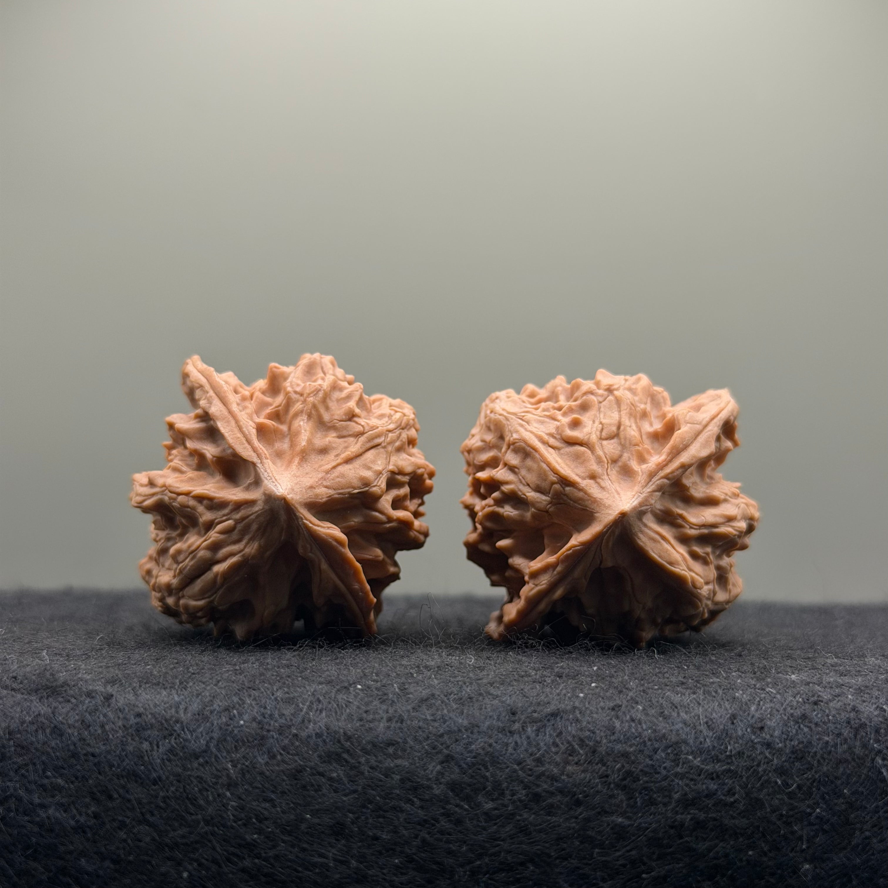 WalnutRitual Exclusive · First Love Wenwan Walnut · 37mm · Natural · Entry Ritual