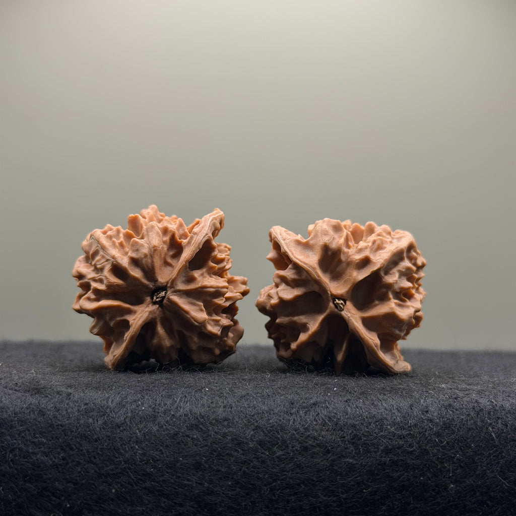 WalnutRitual Exclusive · First Love Wenwan Walnut · 37mm · Natural · Entry Ritual