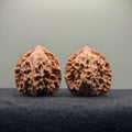 WalnutRitual Exclusive · First Love Wenwan Walnut · 36mm · Natural · Entry Ritual