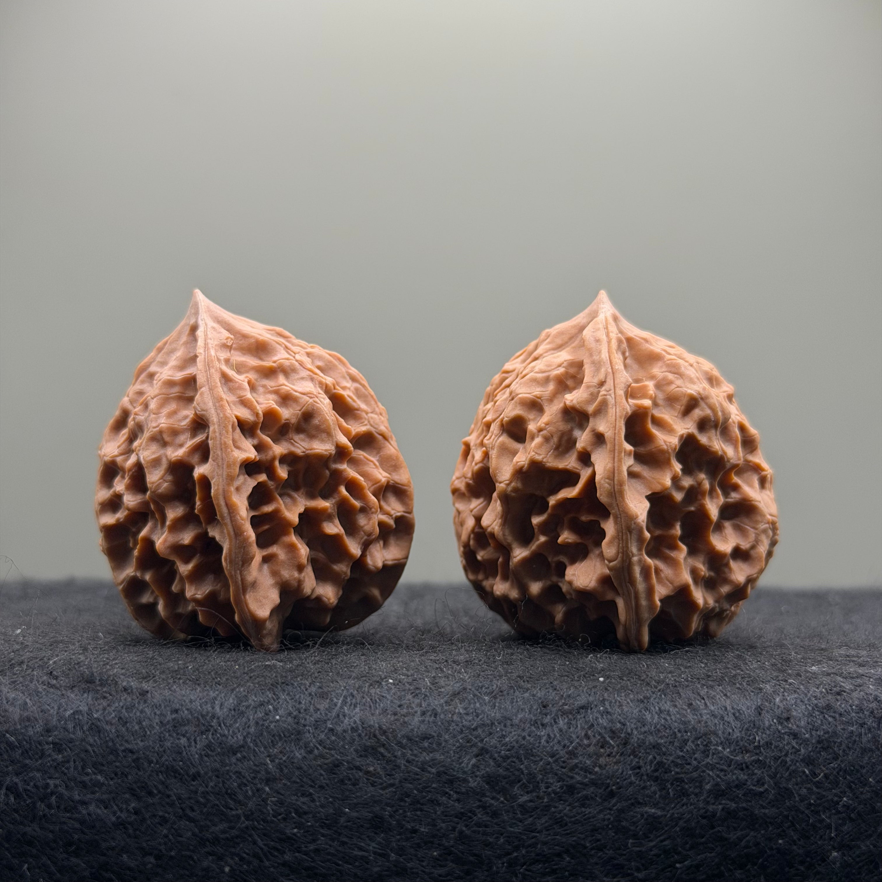 WalnutRitual Exclusive · First Love Wenwan Walnut · 36mm · Natural · Entry Ritual