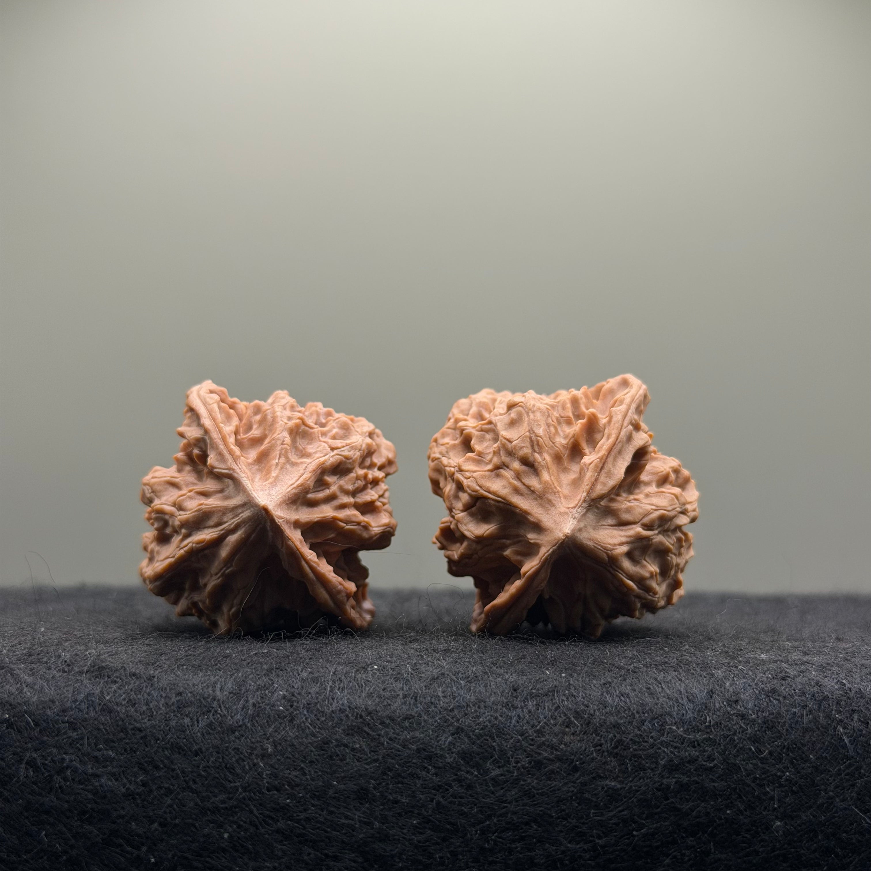 WalnutRitual Exclusive · First Love Wenwan Walnut · 36mm · Natural · Entry Ritual