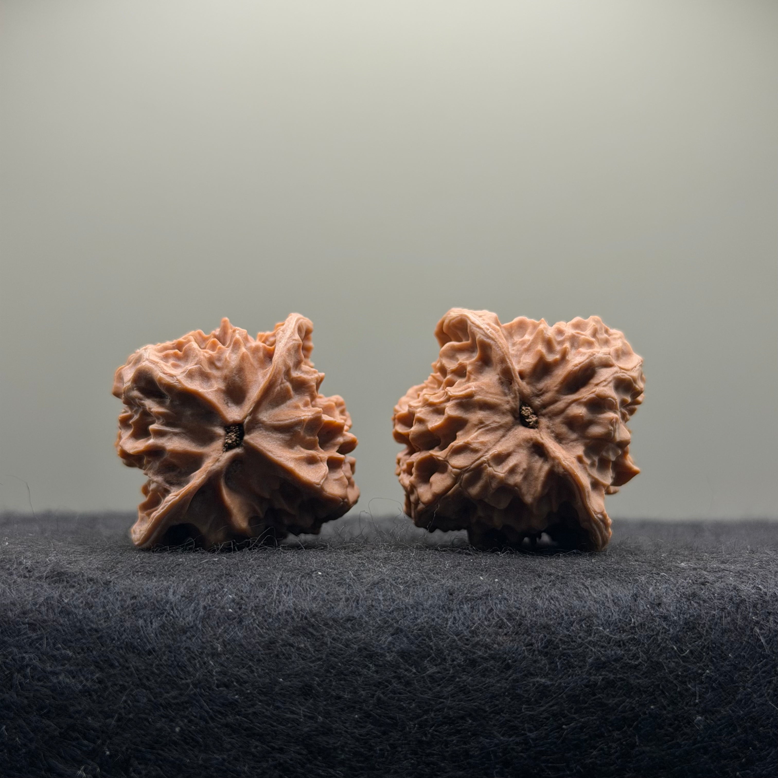 WalnutRitual Exclusive · First Love Wenwan Walnut · 36mm · Natural · Entry Ritual