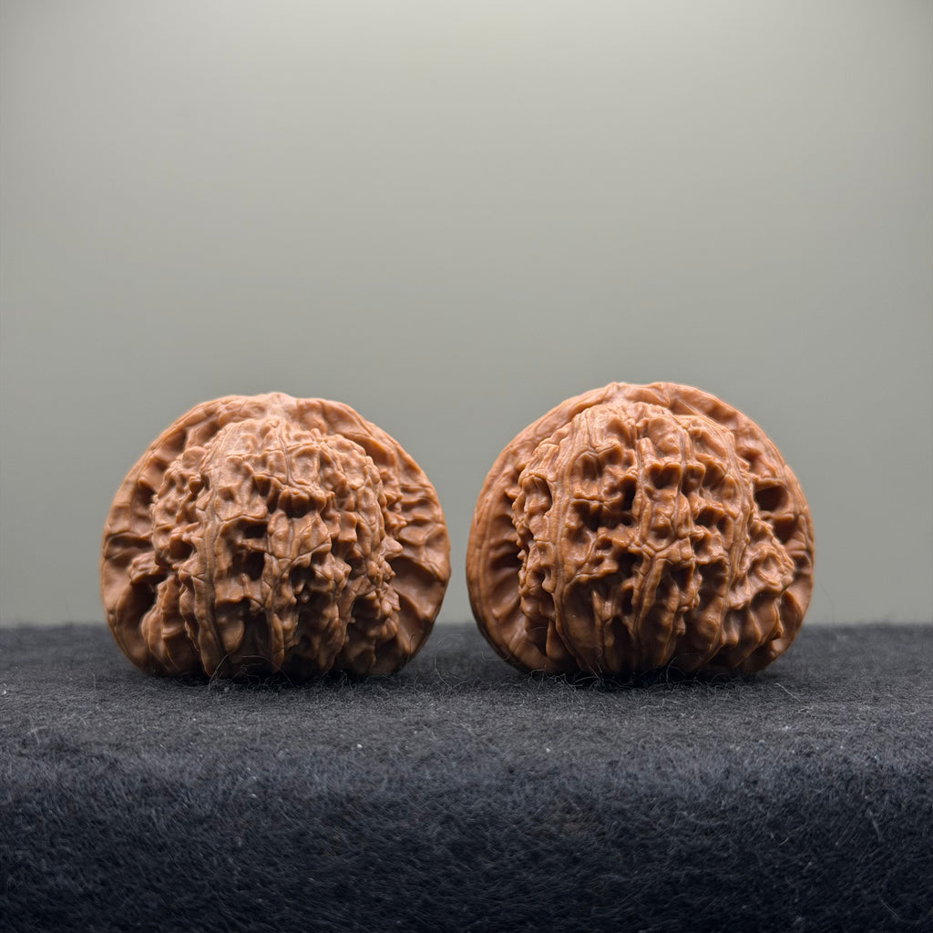 White Lion Wenwan Walnut · 40mm · Natural · Select Ritual