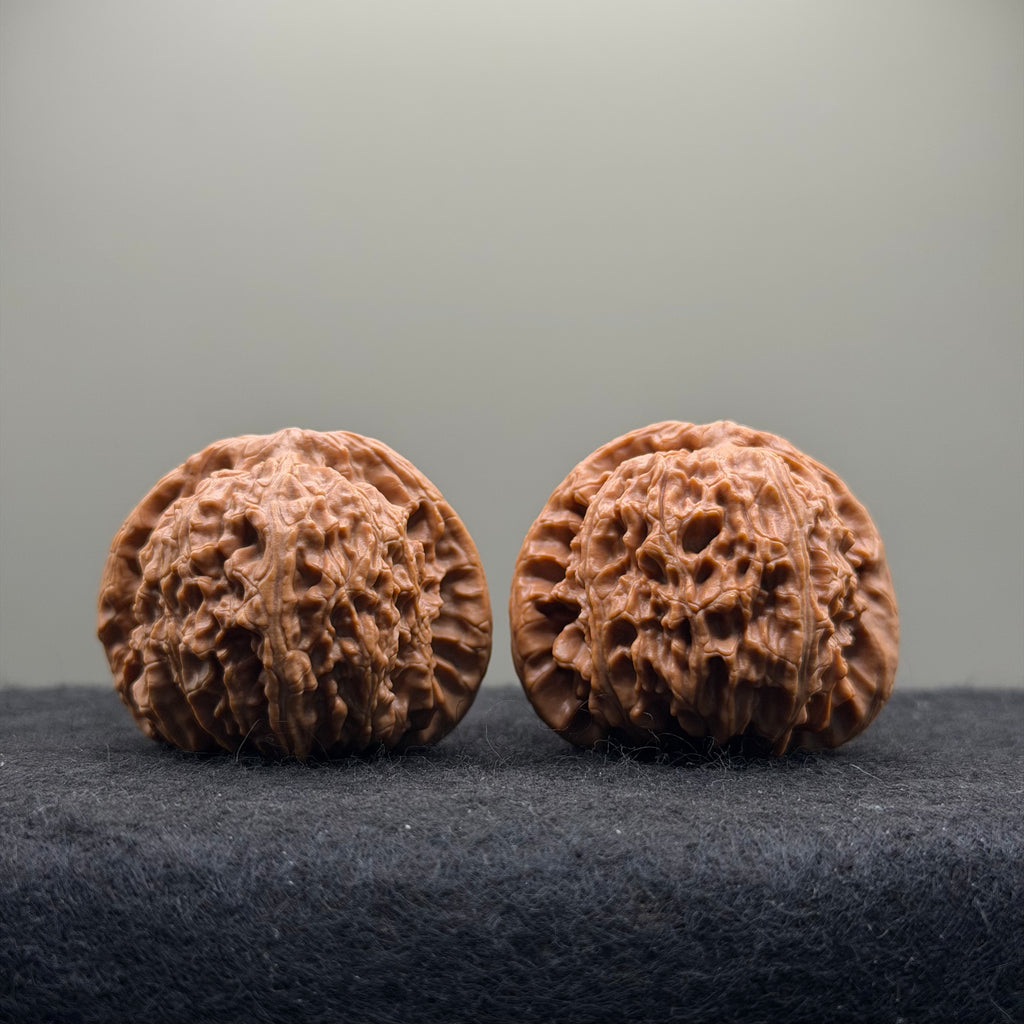 White Lion Wenwan Walnut · 40mm · Natural · Select Ritual