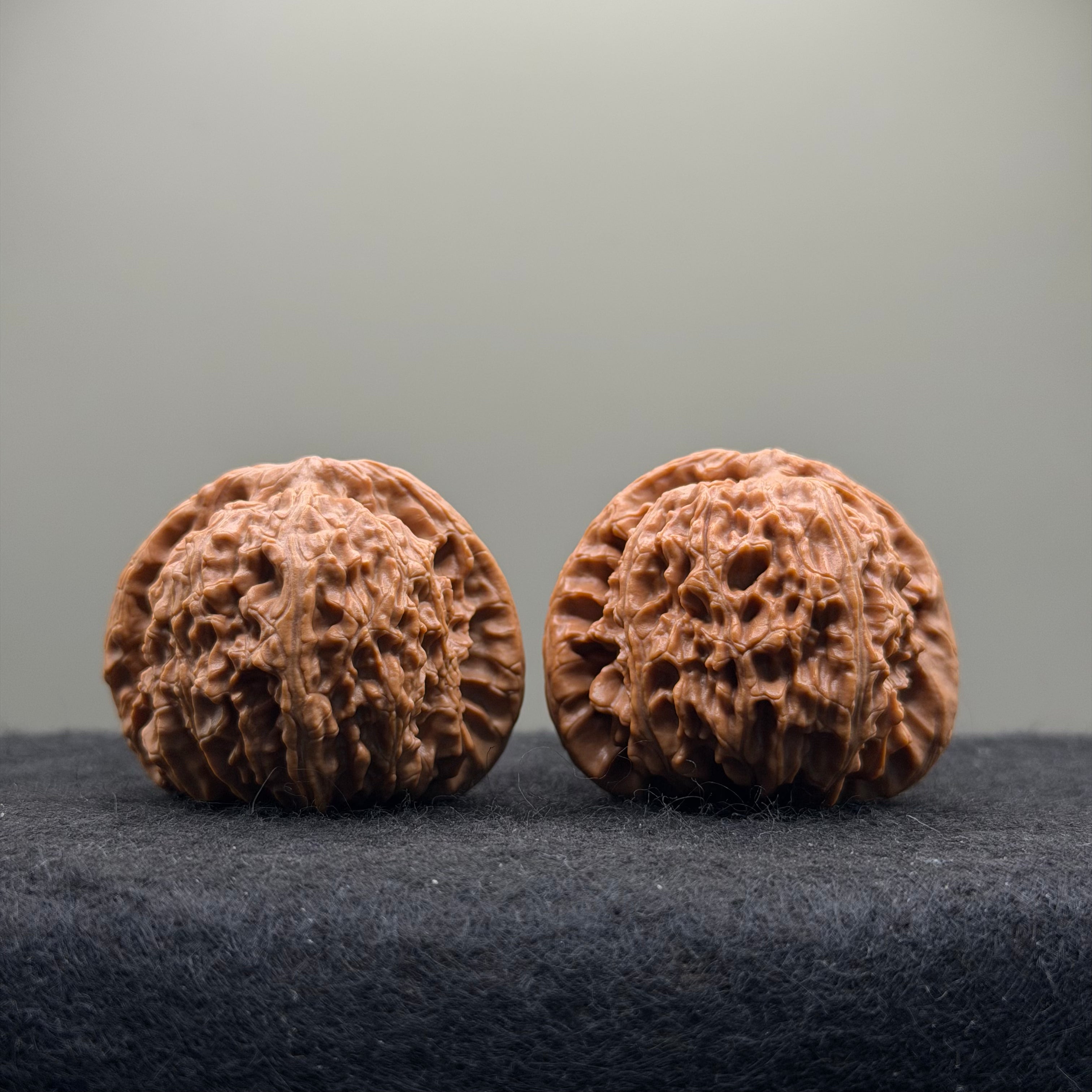 White Lion Wenwan Walnut · 40mm · Natural · Select Ritual