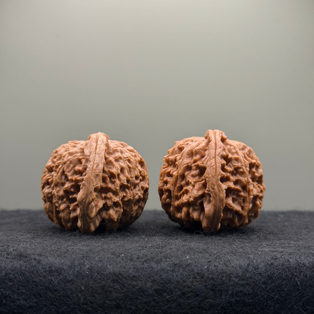 White Lion Wenwan Walnut · 40mm · Natural · Select Ritual