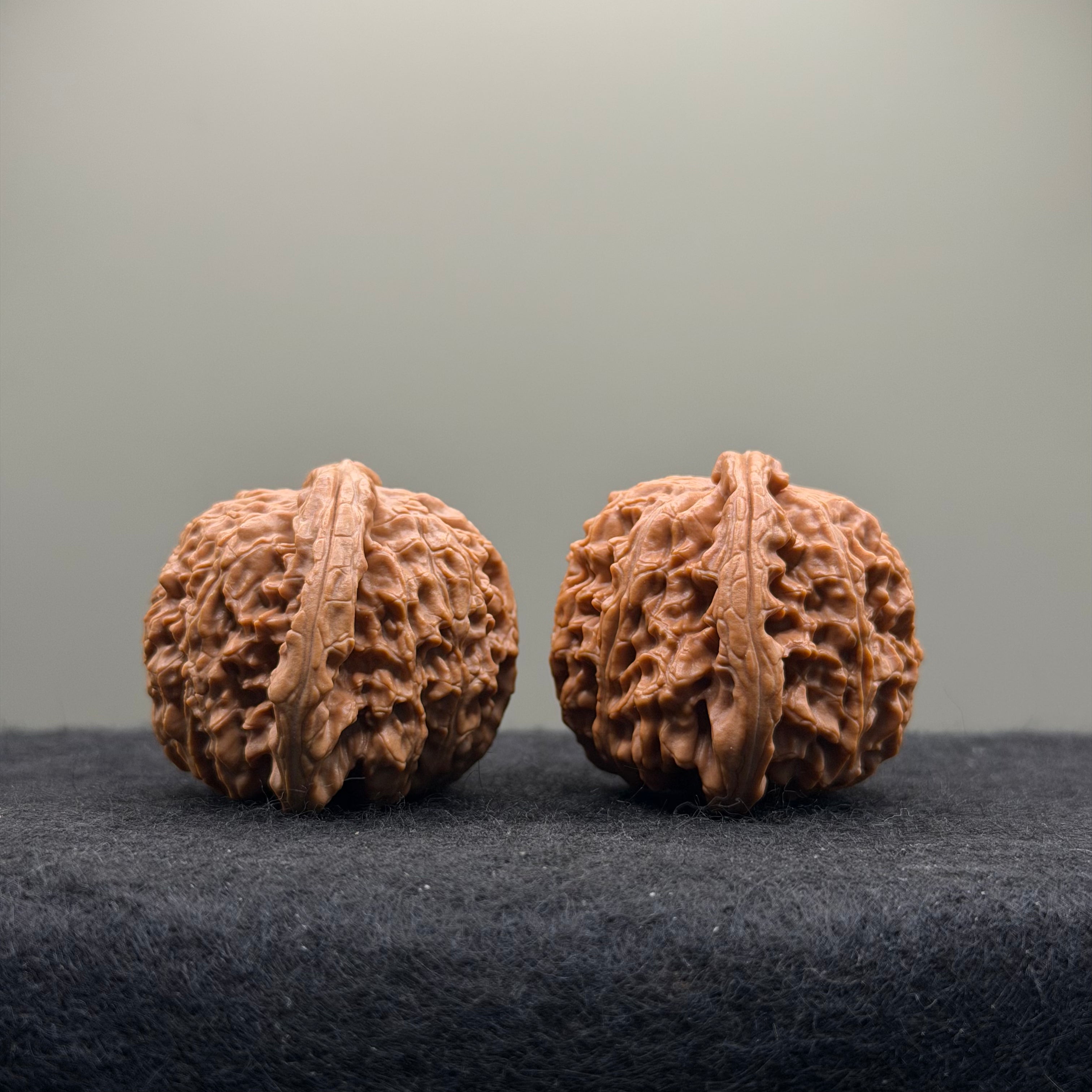 White Lion Wenwan Walnut · 40mm · Natural · Select Ritual