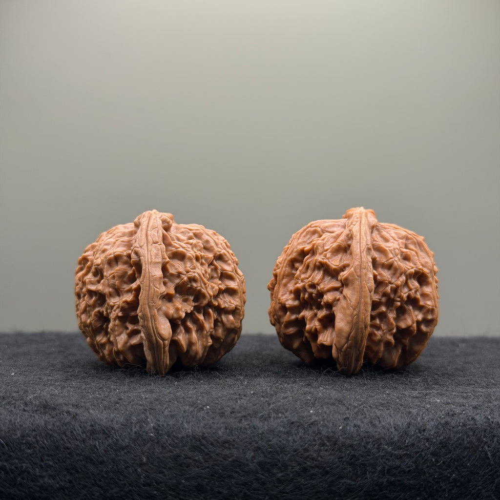 White Lion Wenwan Walnut · 40mm · Natural · Select Ritual