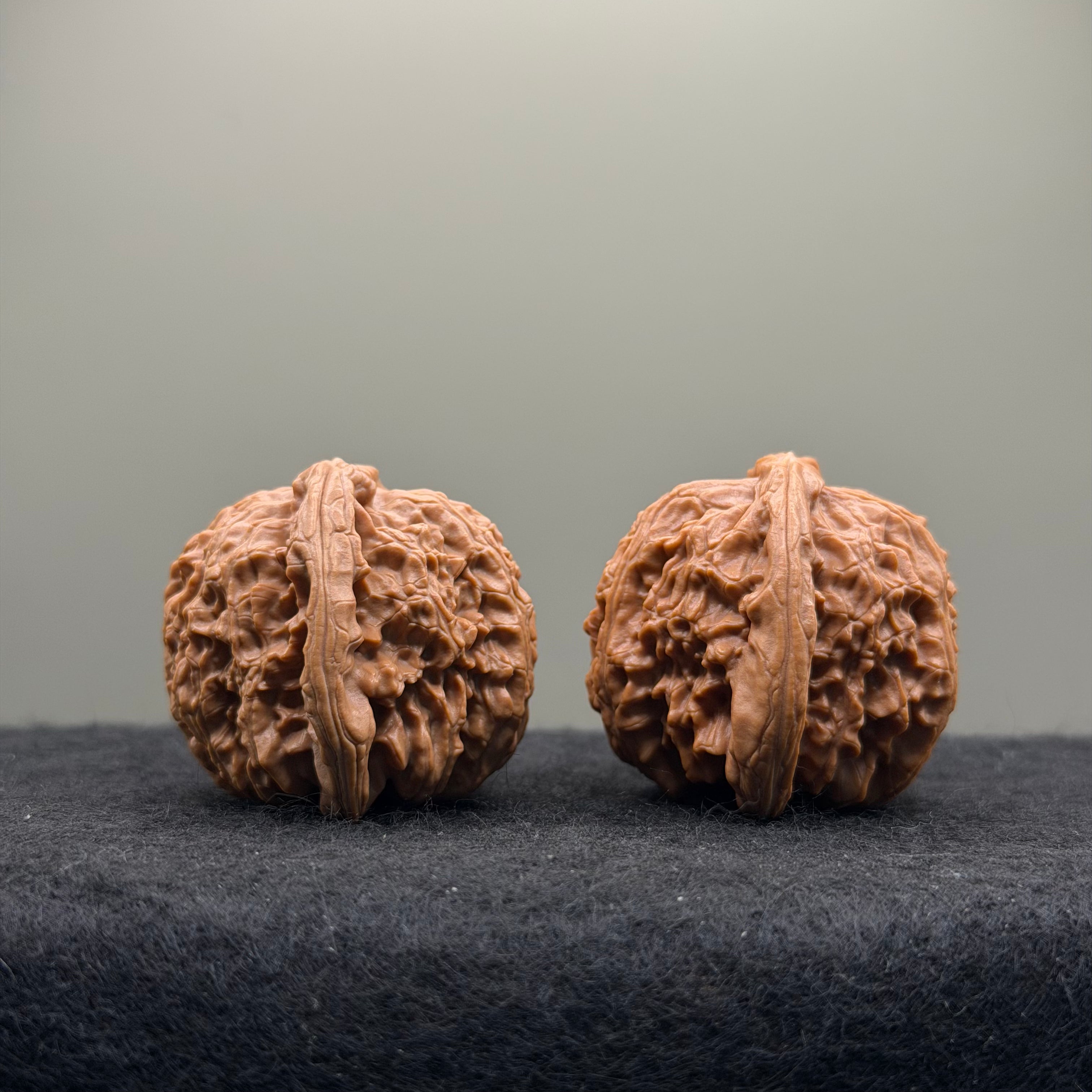 White Lion Wenwan Walnut · 40mm · Natural · Select Ritual